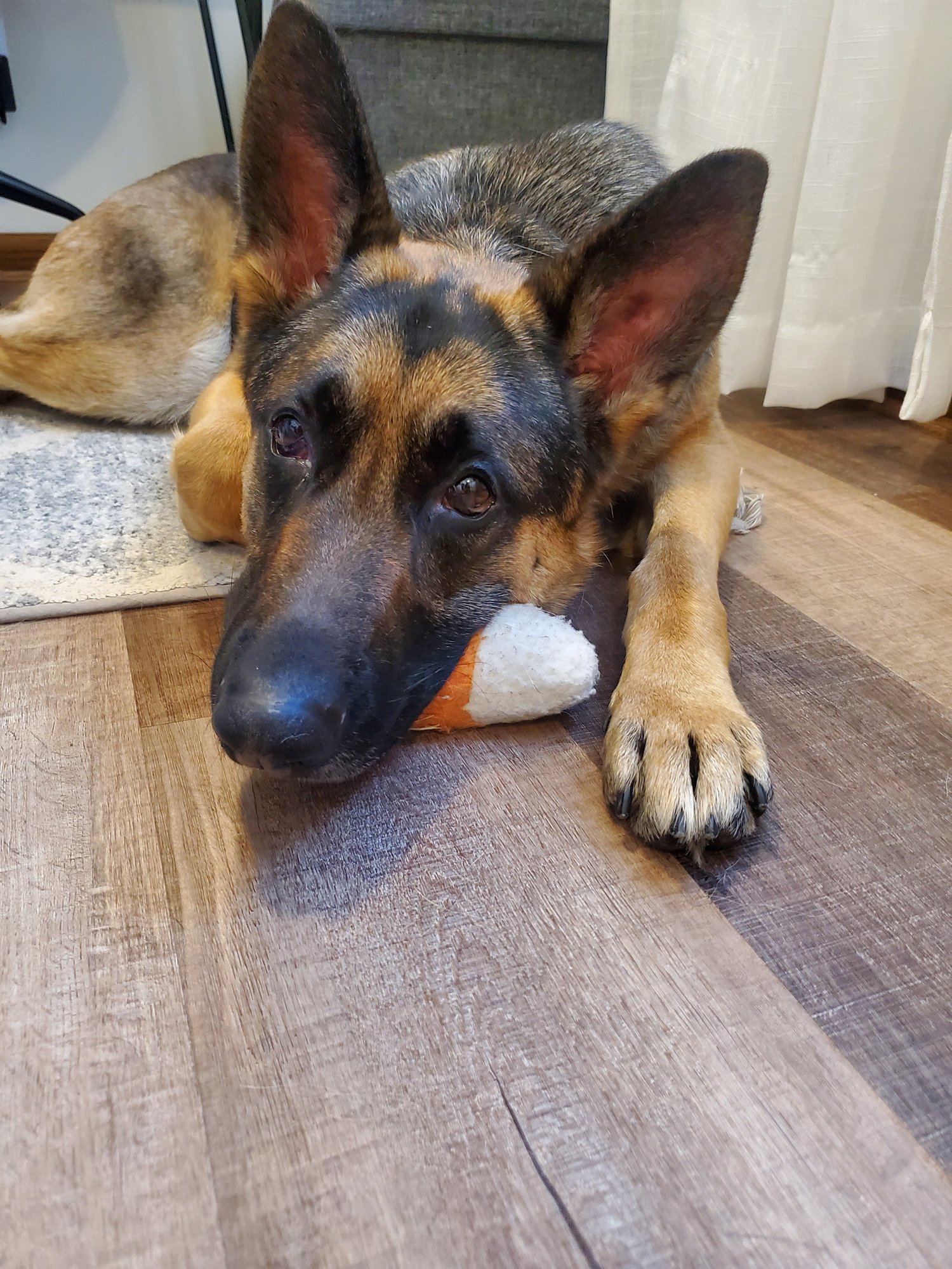 About — Ridgeway & Associates