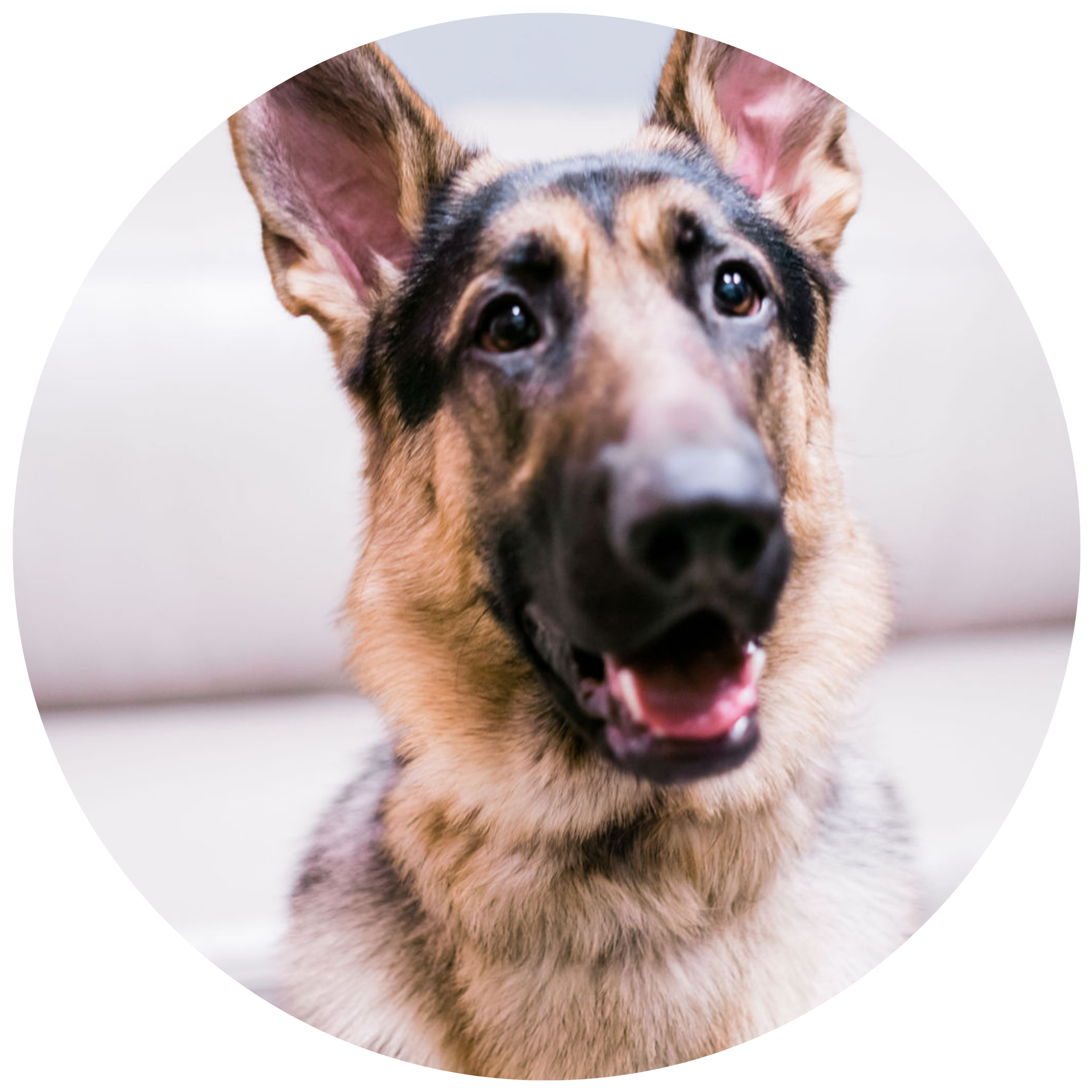 About — Marie Ridgeway & Associates