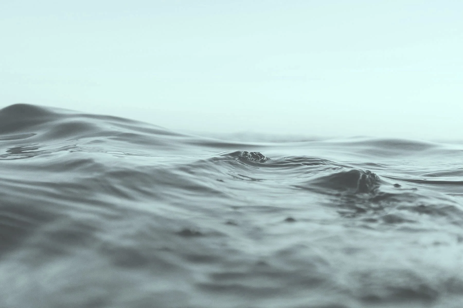 mvywellness-background.jpg