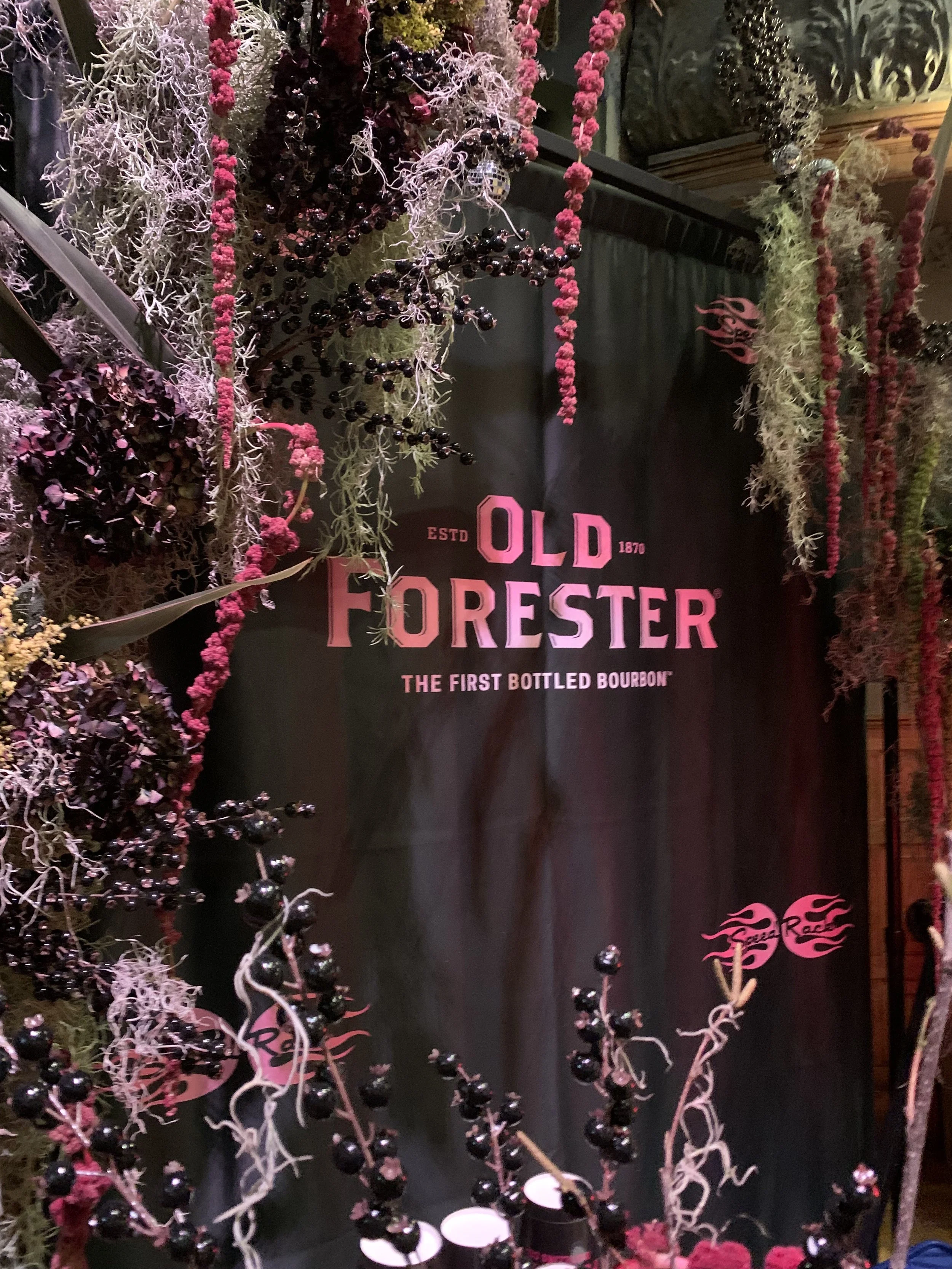 old forester.jpeg