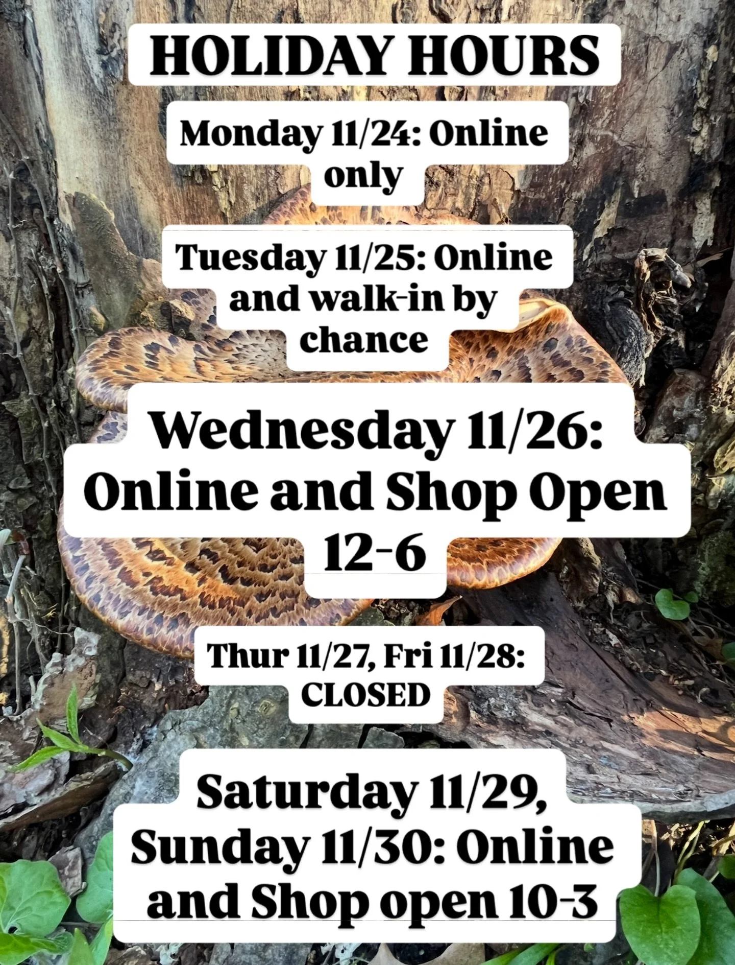 Special hours next week!  We&rsquo;ve got you covered for last minute wreaths, dry and fresh arrangements, and gifts!! 
Check out our Harvest Table pre-orders online so we can make you something special this year!! 🥬🍄&zwj;🟫🍂🍂🍂