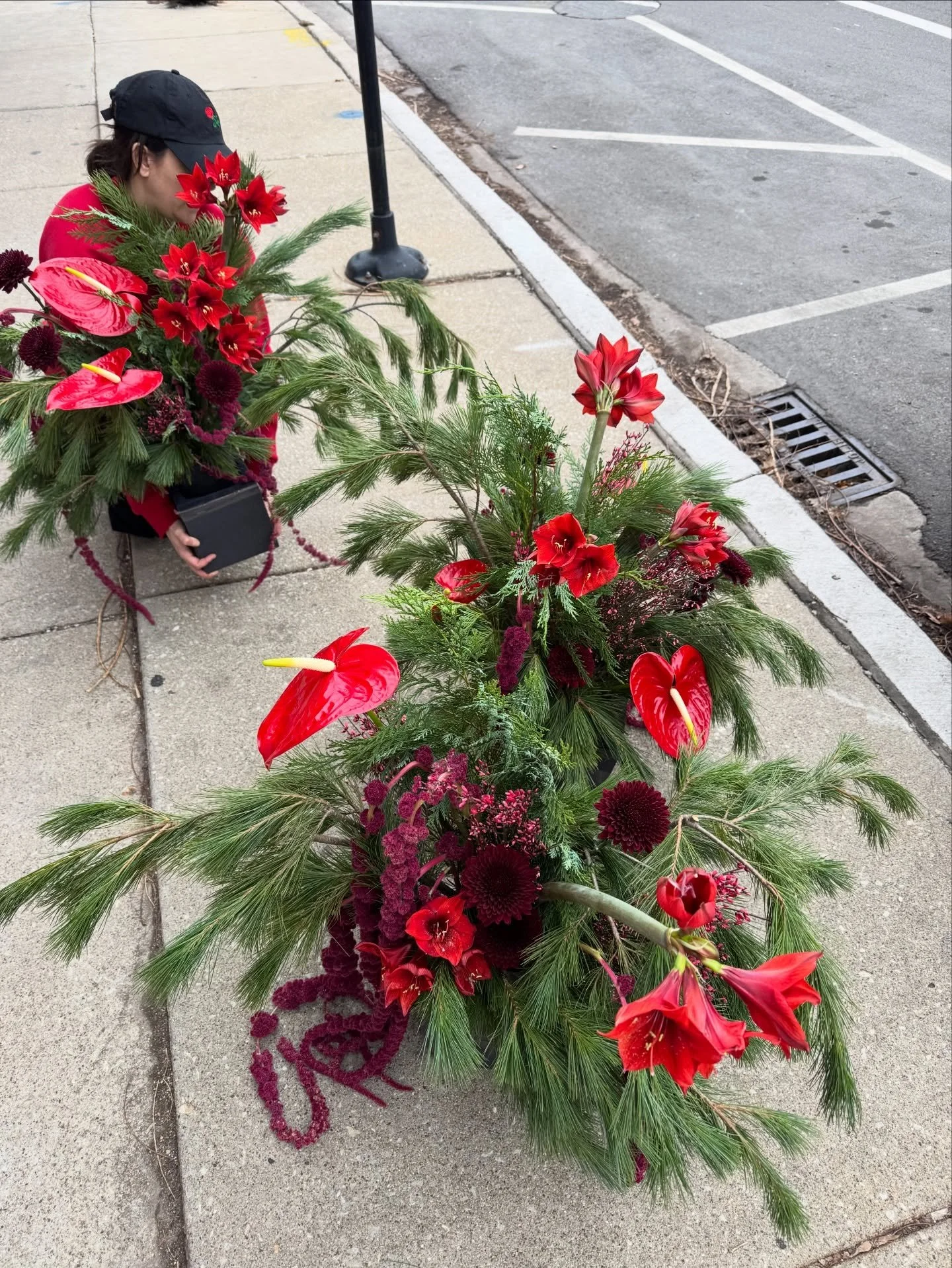 Holidays at Exfolia 🌲🌲🌲