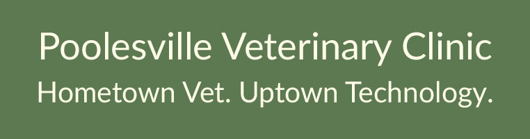 Poolesville Vet.jpg