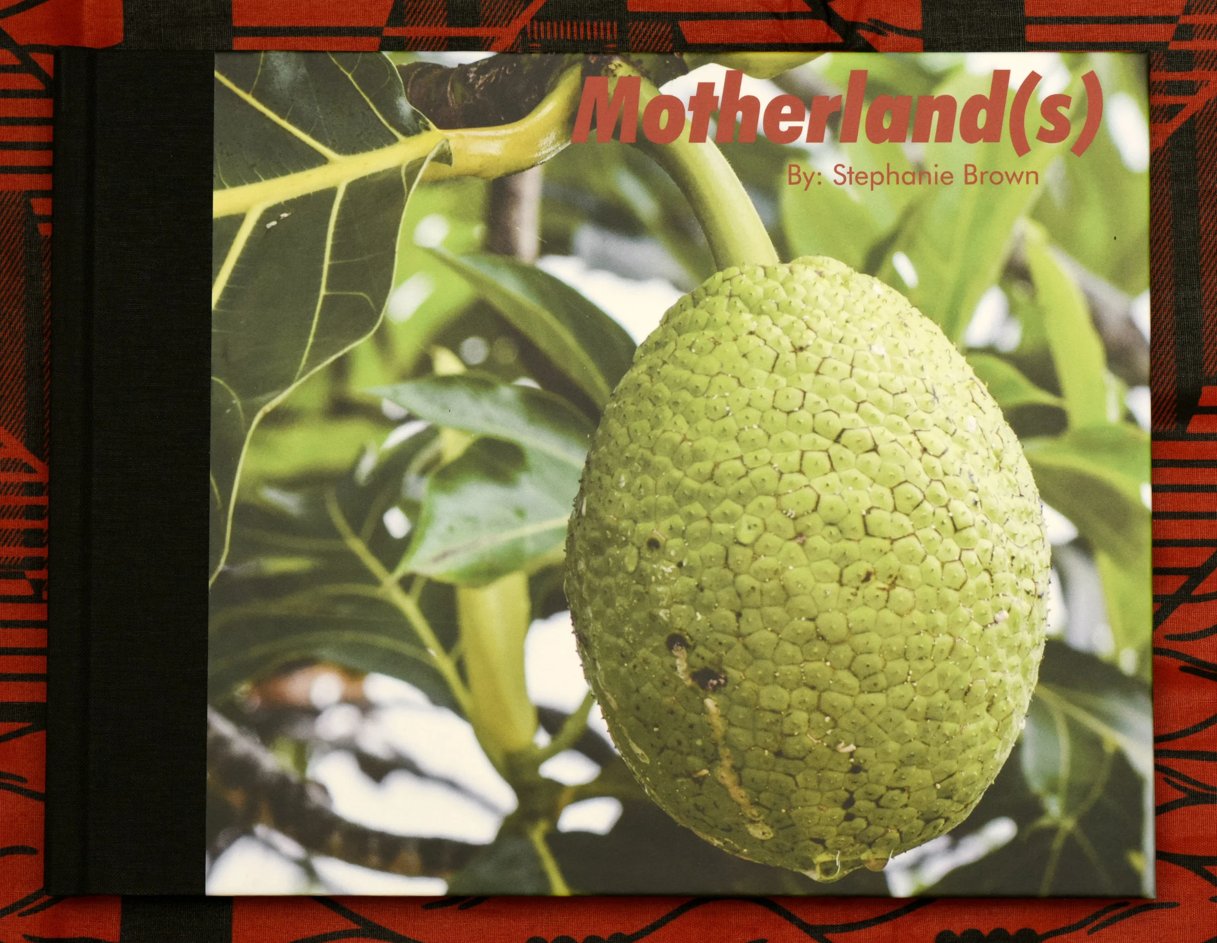 Motherlands Book cover_front.jpg