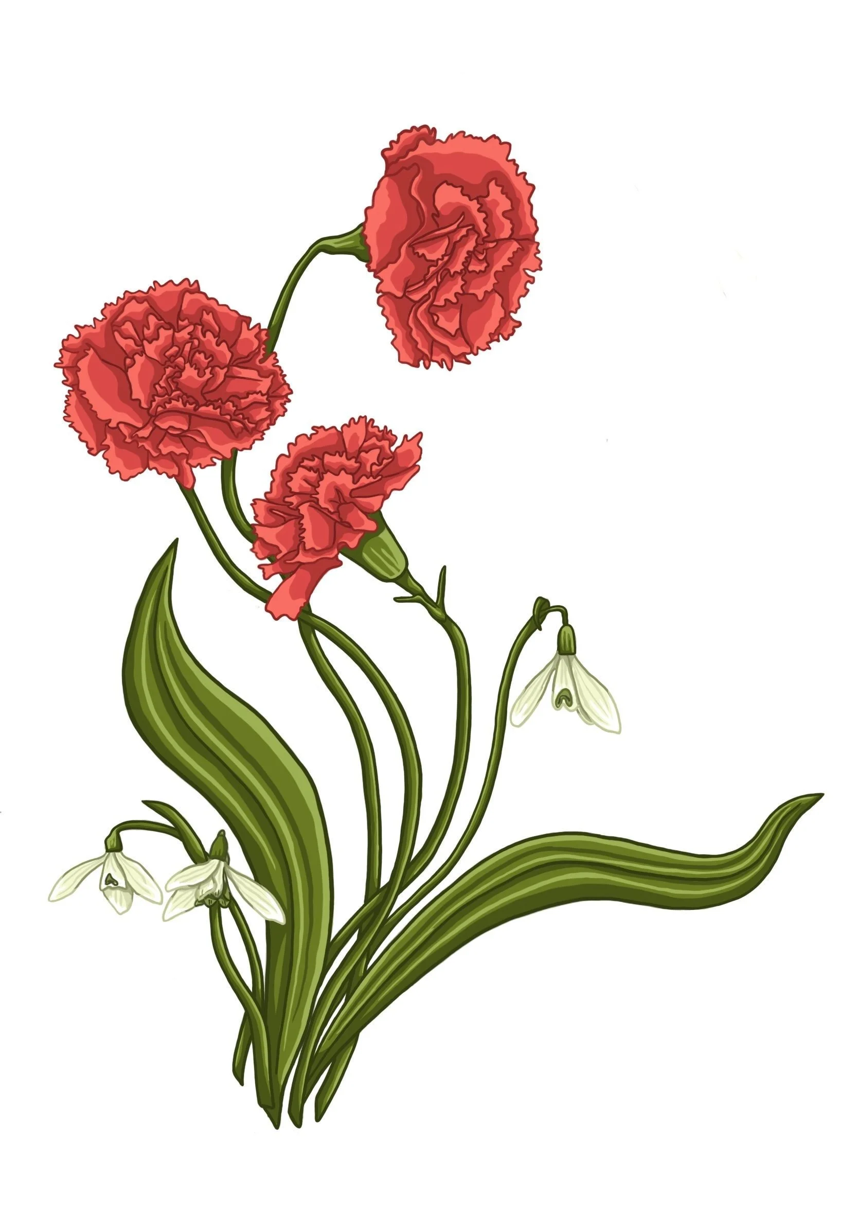 https://i.etsystatic.com/31728006/r/il/e6e27c/5144262586/il_fullxfull.5144262586_keal.jpg