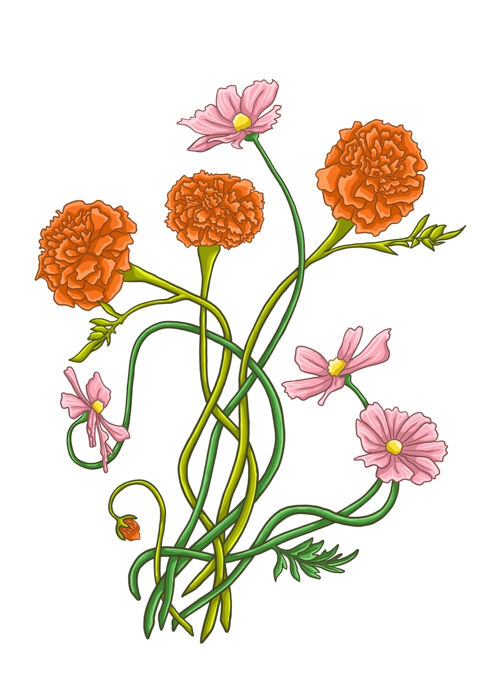 https://i.etsystatic.com/31728006/r/il/9241ce/5144855088/il_fullxfull.5144855088_fxih.jpg