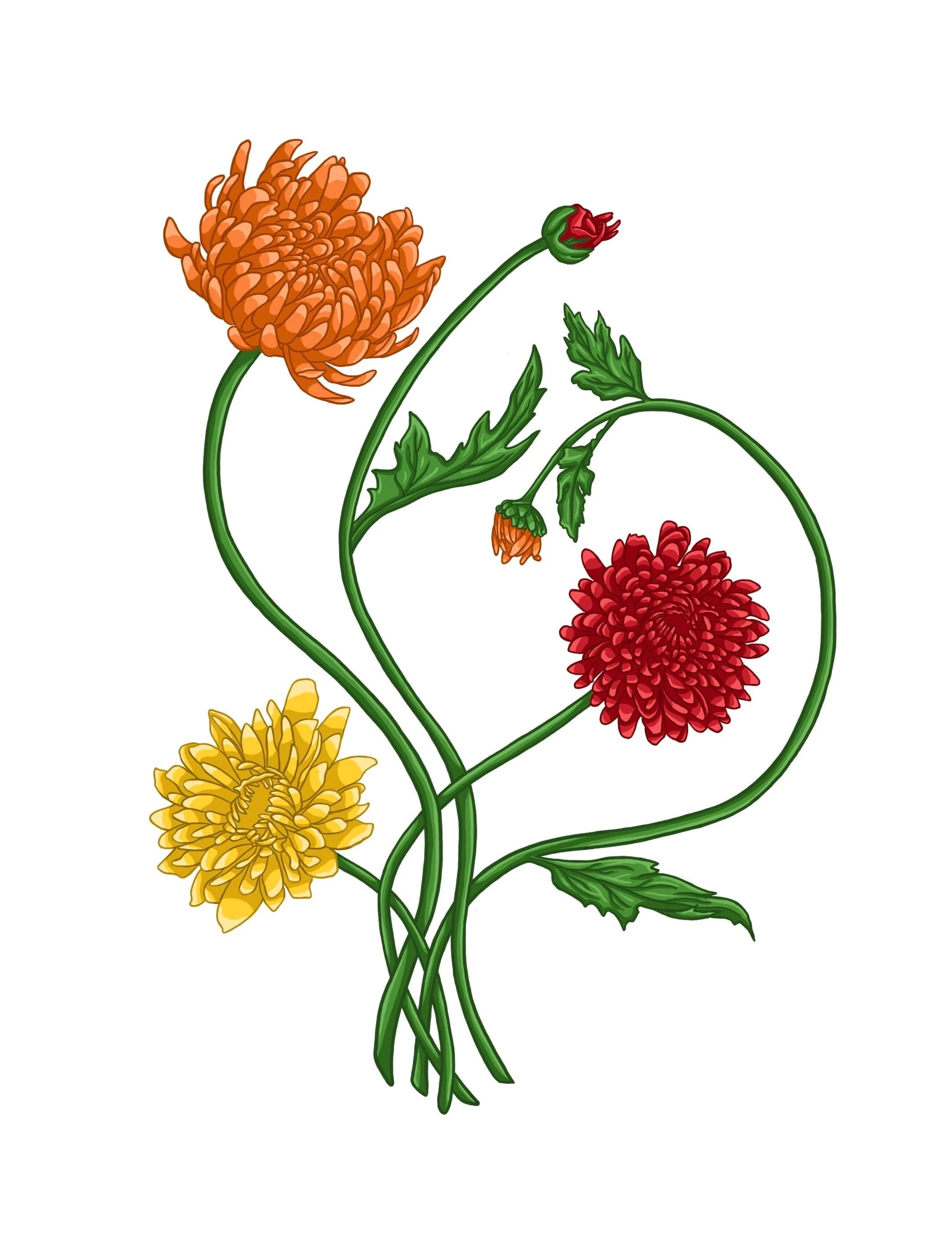 https://i.etsystatic.com/31728006/r/il/643664/5144866410/il_fullxfull.5144866410_9e6i.jpg