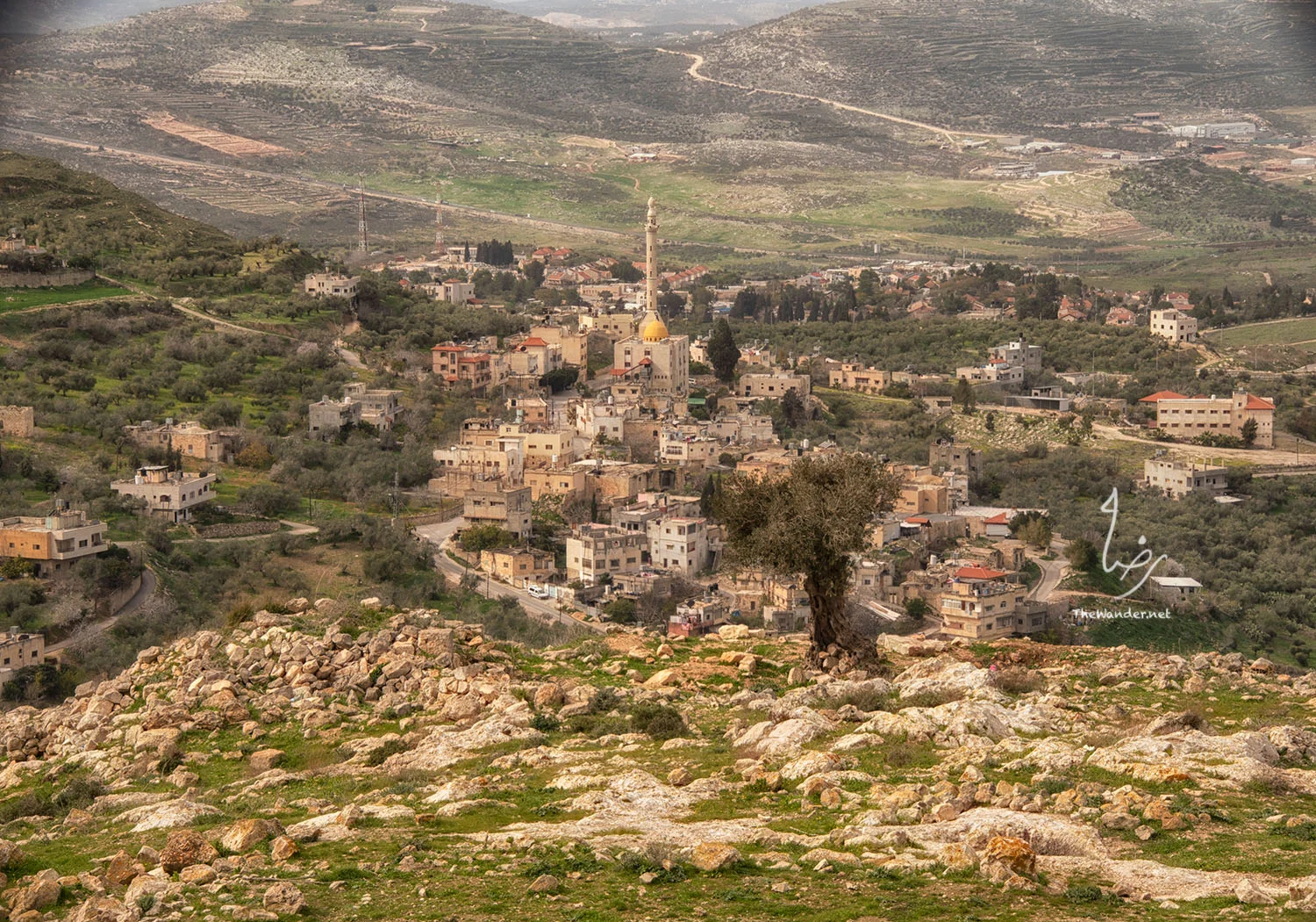 The village of Al-naqura