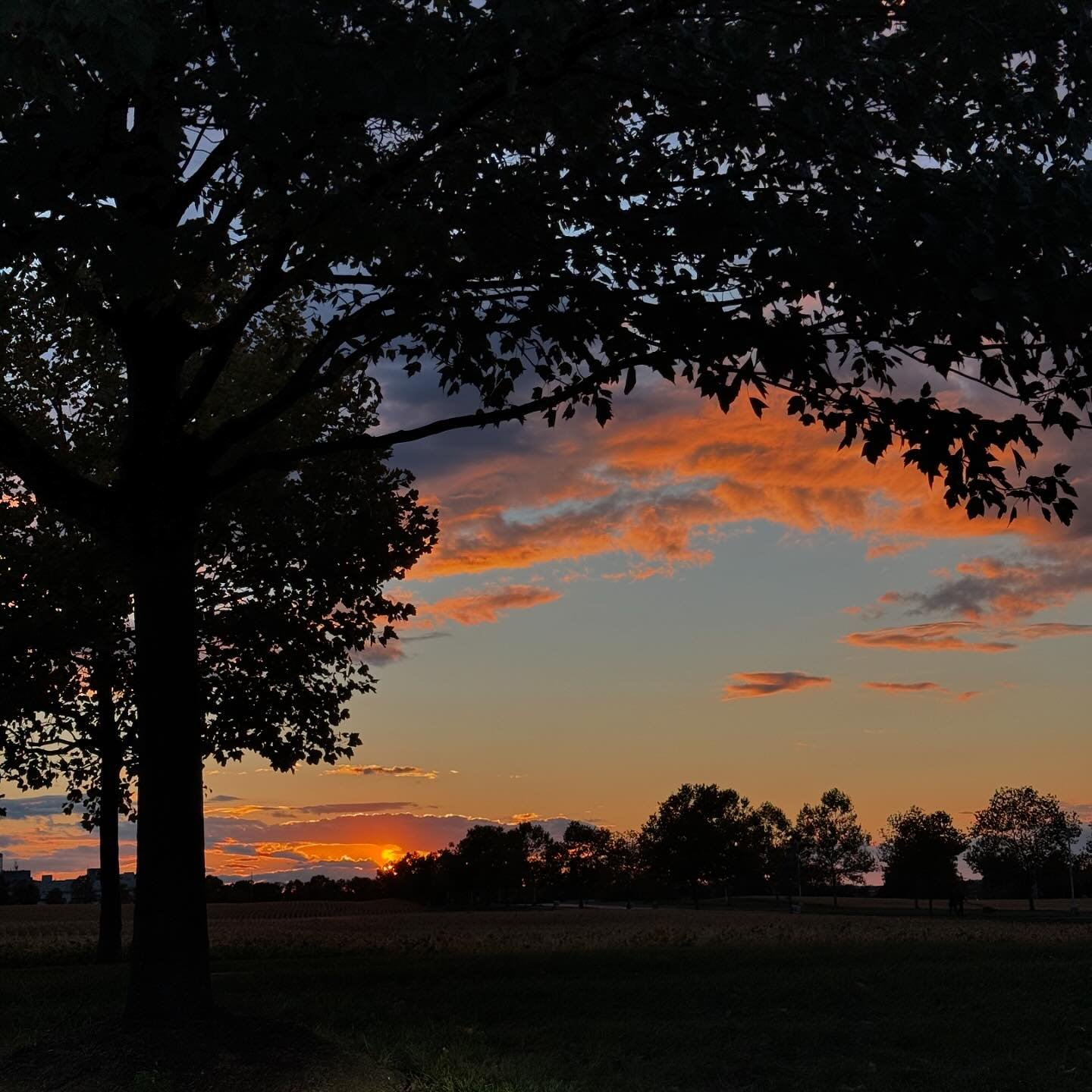 idk, it&rsquo;s exhausting attempting to be aesthetic. here&rsquo;s a sunset from a long day last week. I love autumn. 
#sunset #authorlife #views #fall #autumn #autumnvibes🍁