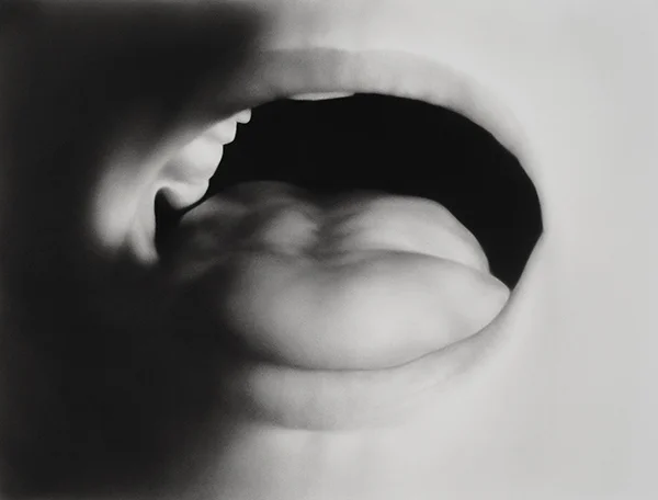 Sanction, Charcoal and Pastel, 31” x 42”