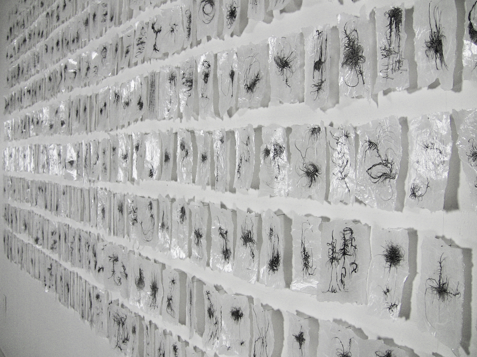 Installation Detail