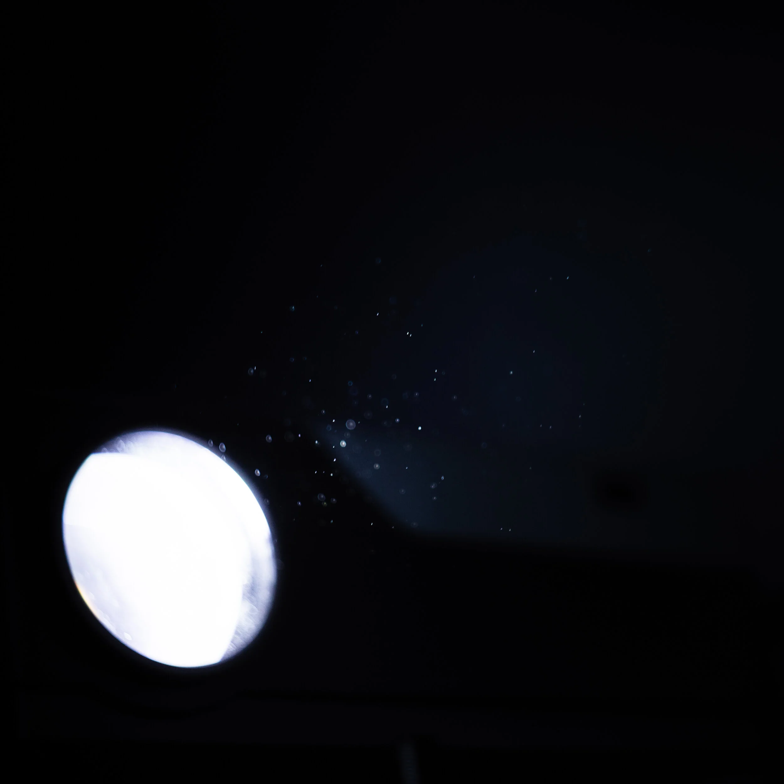 4O7A0884.jpg