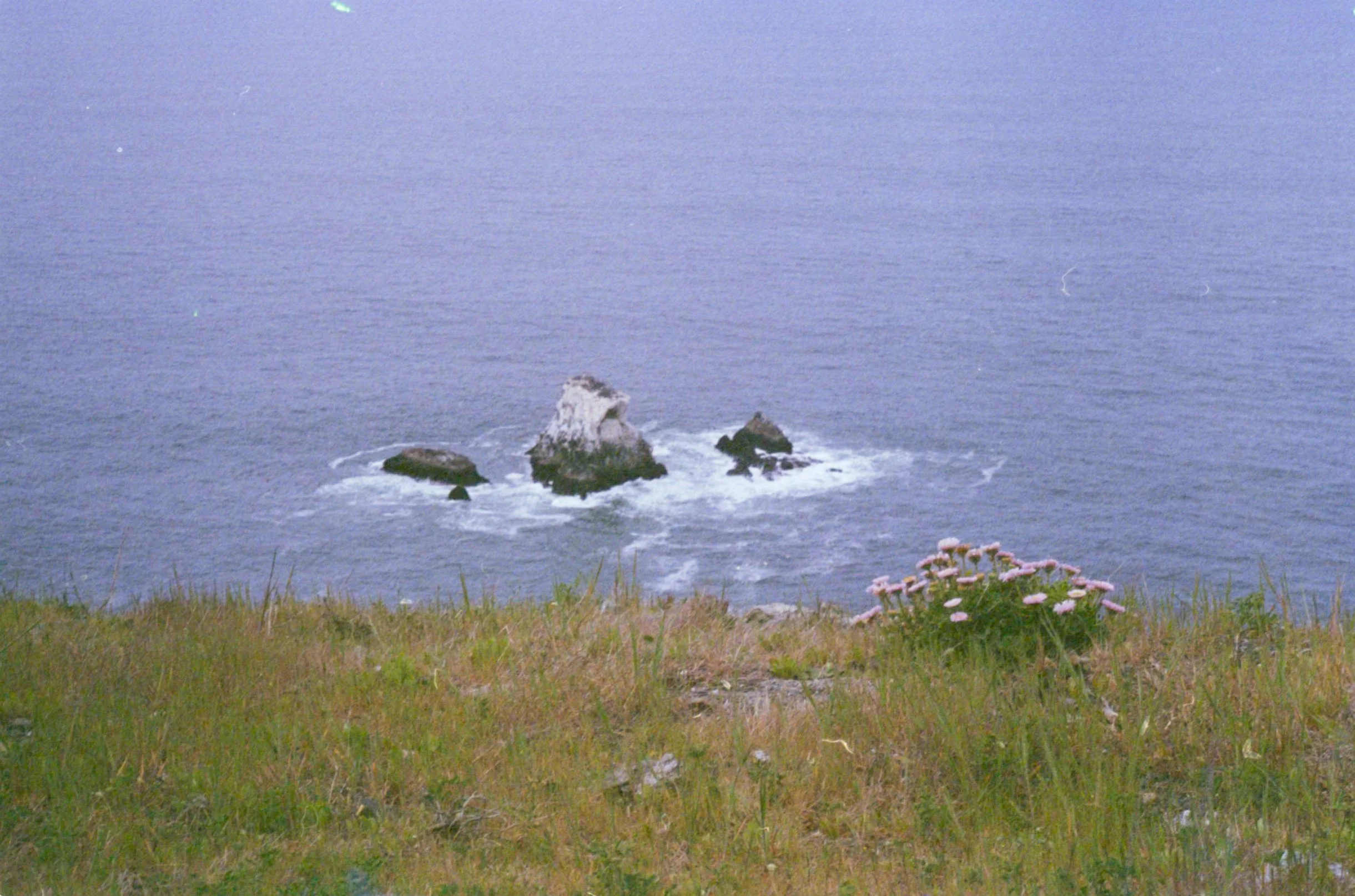 kodak_colorplus_1-025.jpg