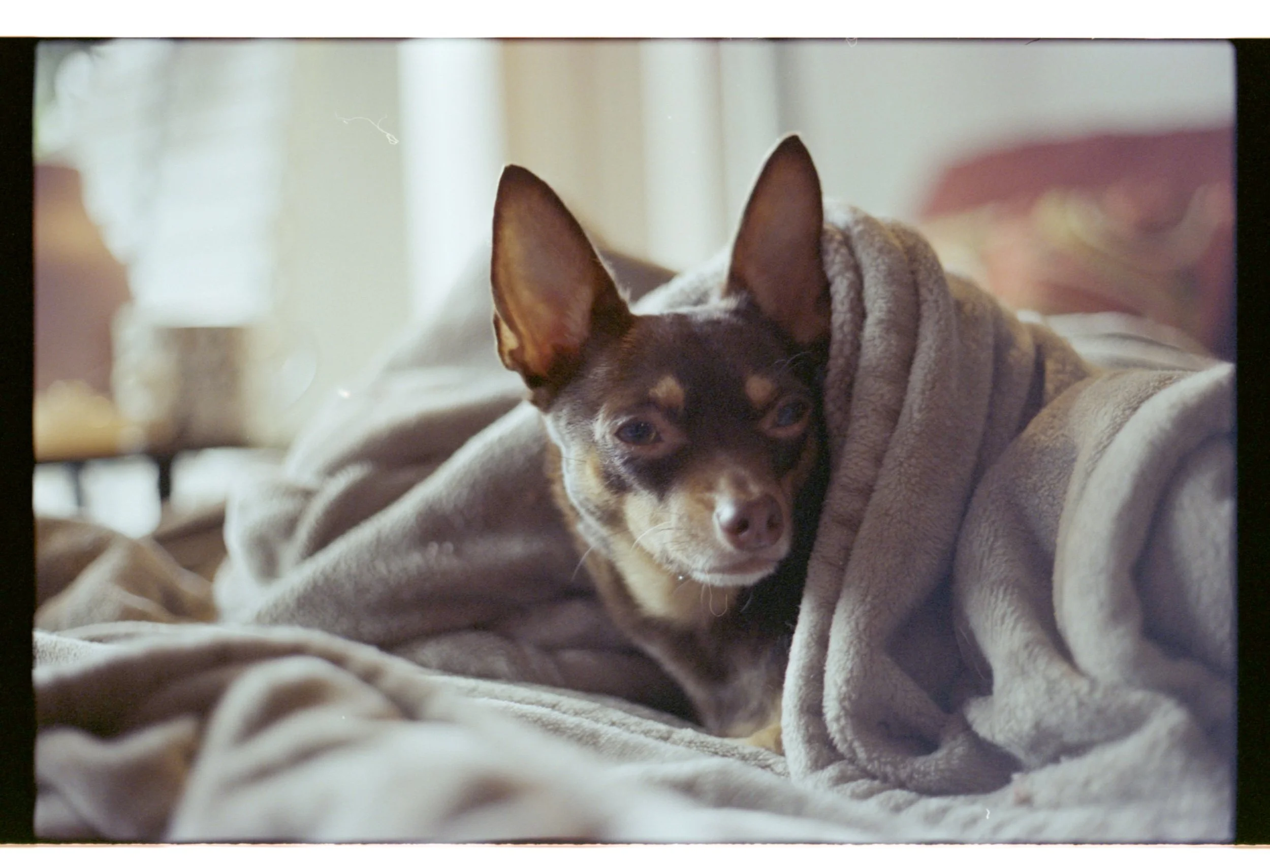 portra400_5-029.jpg