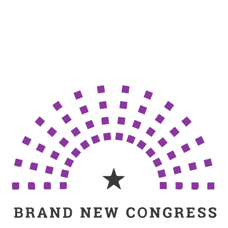 Brand New Congress