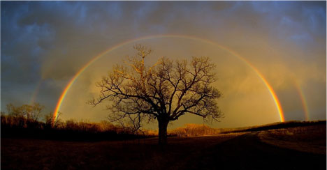 rainbow.jpg