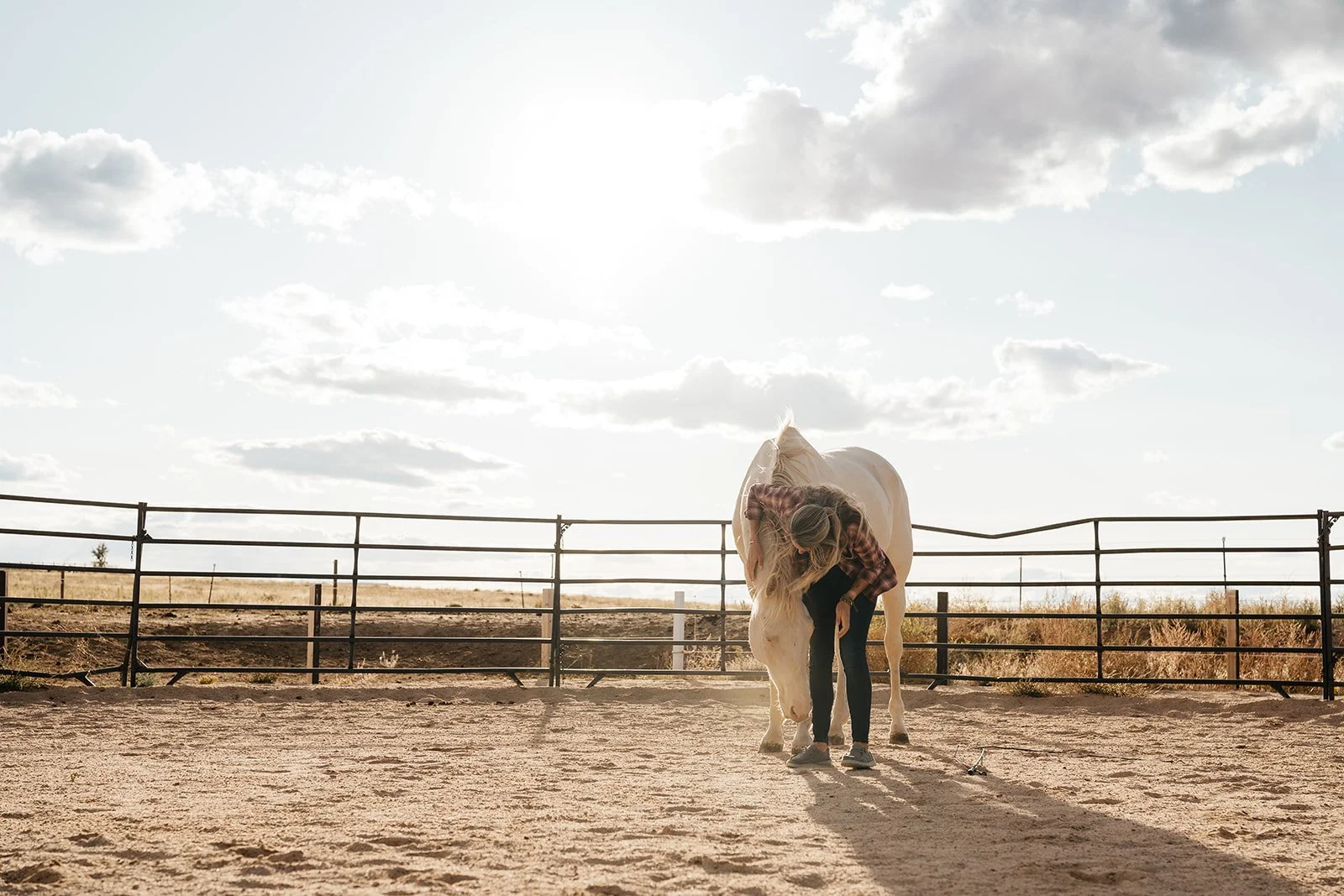 Honor the Horse, Honor Yourself: Auditing Pass