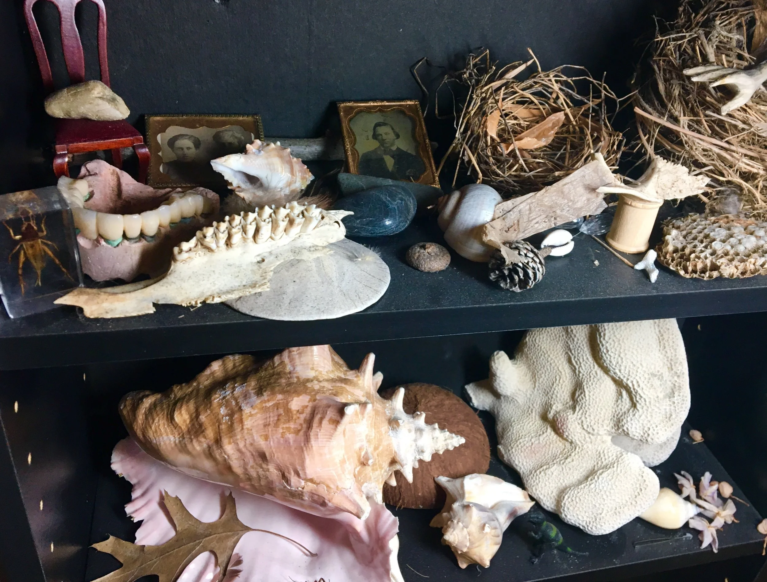 Studio Inspiration