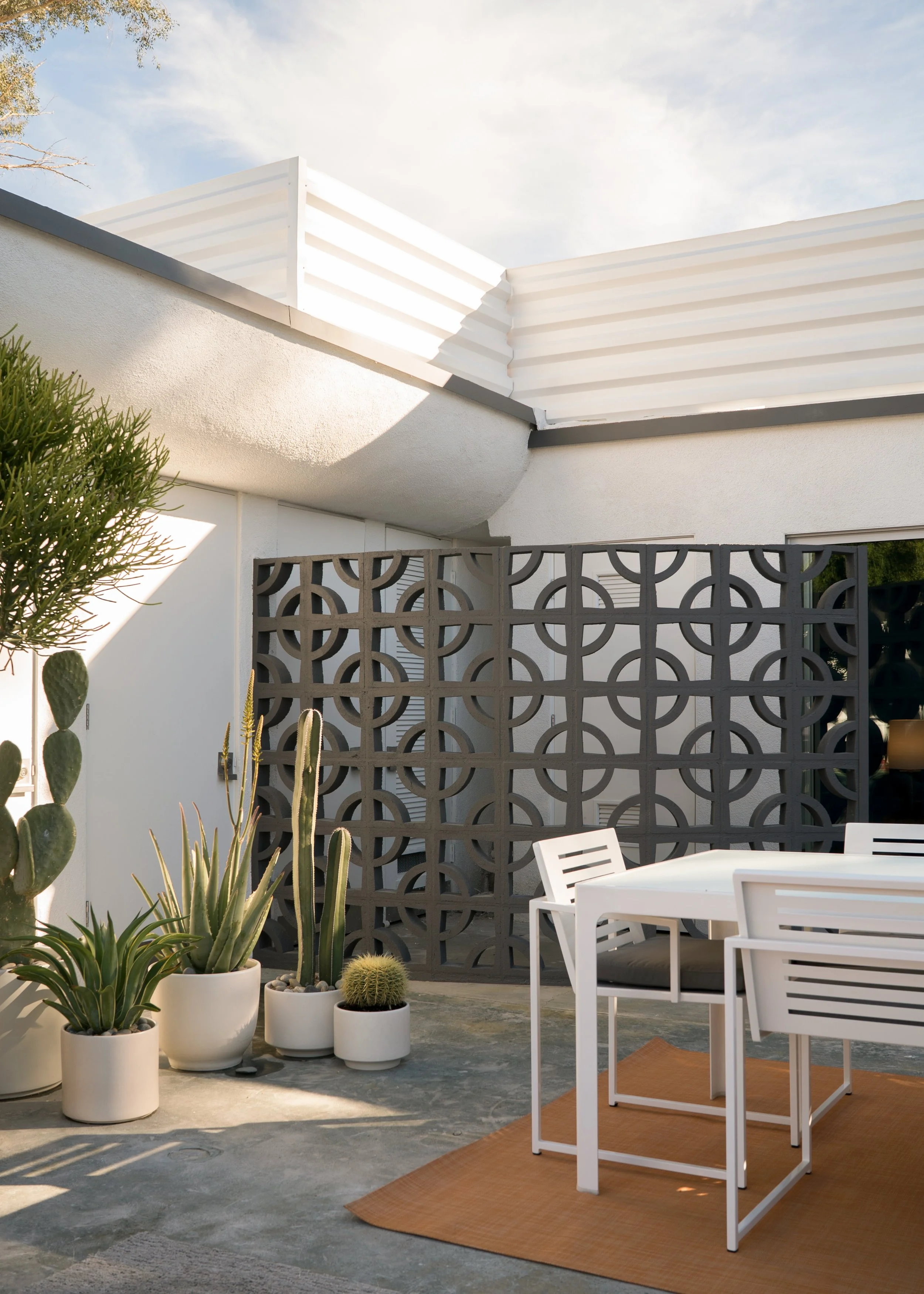 Palm Springs Modernism for Room and Board.jpg