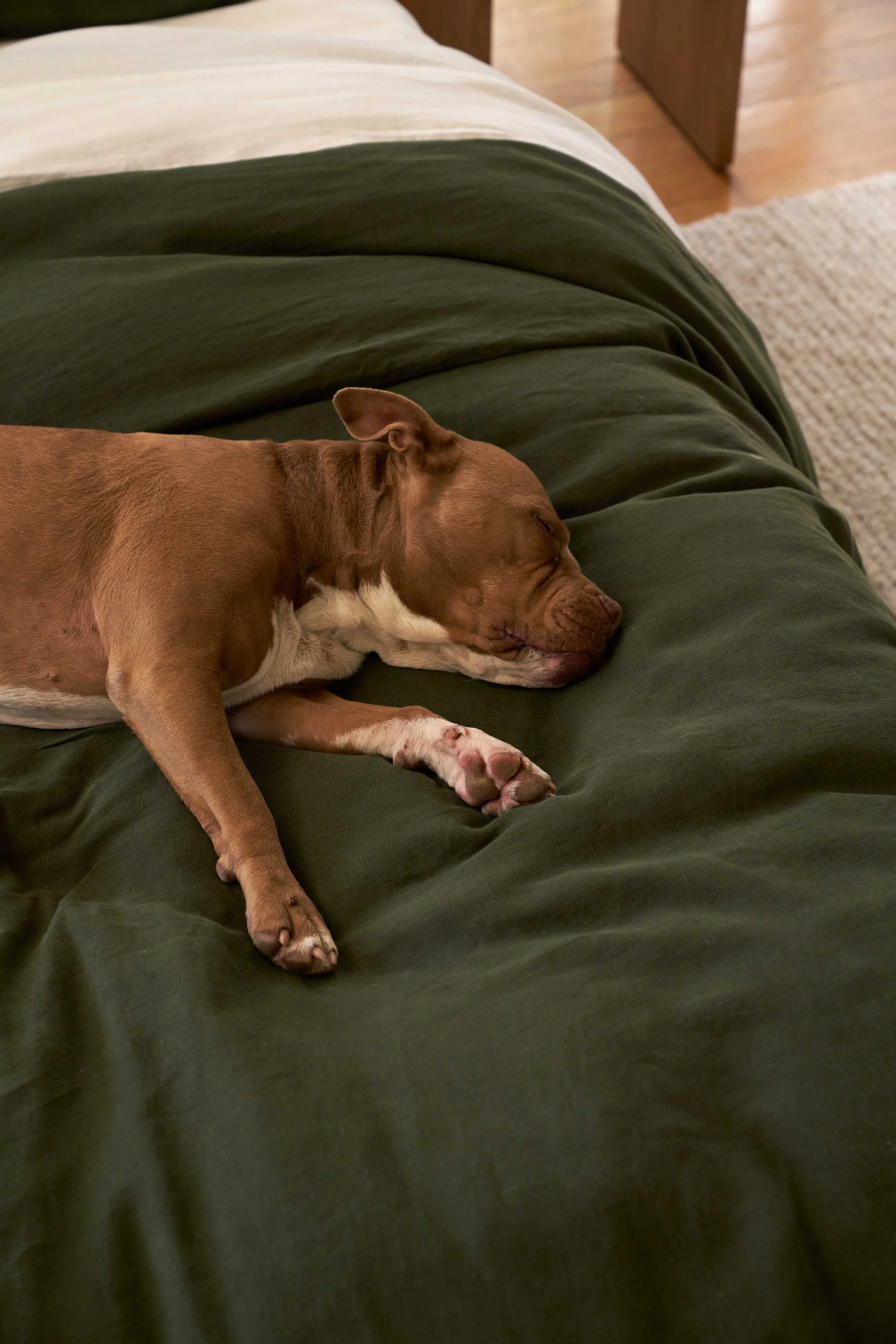 Parachute Home Q3 Campaign Final Selects_31.JPG