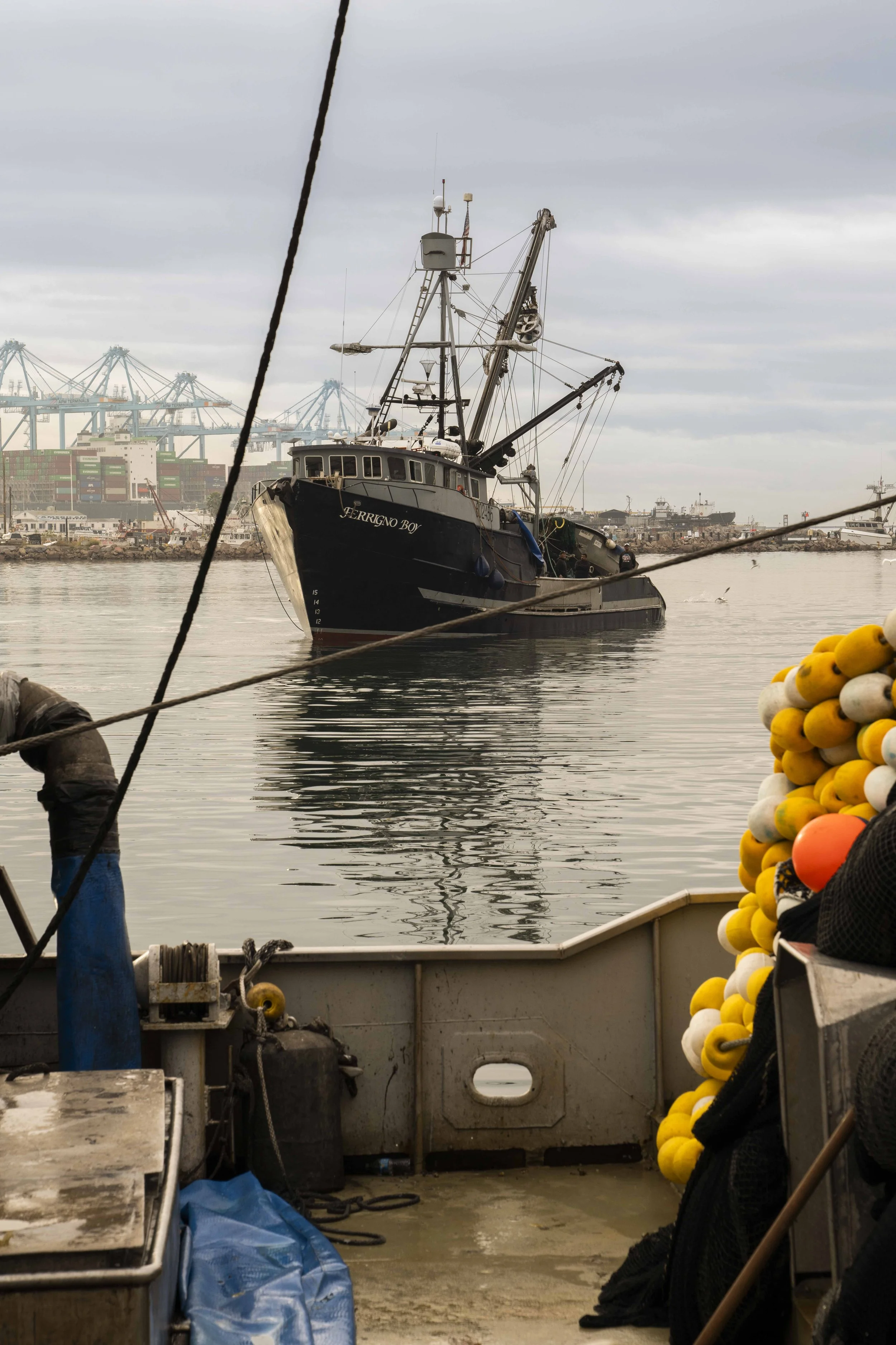 MSC_KORTHAVENS_LONG BEACH 113023_300.JPG