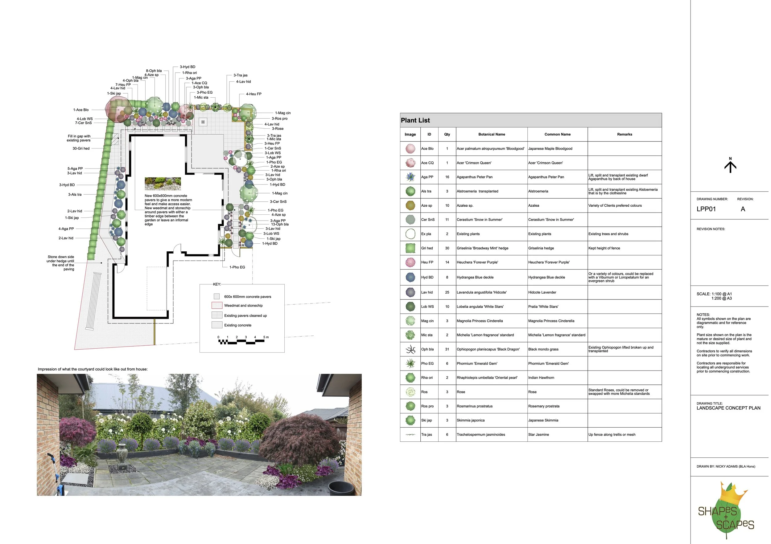 planting plan ex 4-with image.jpg