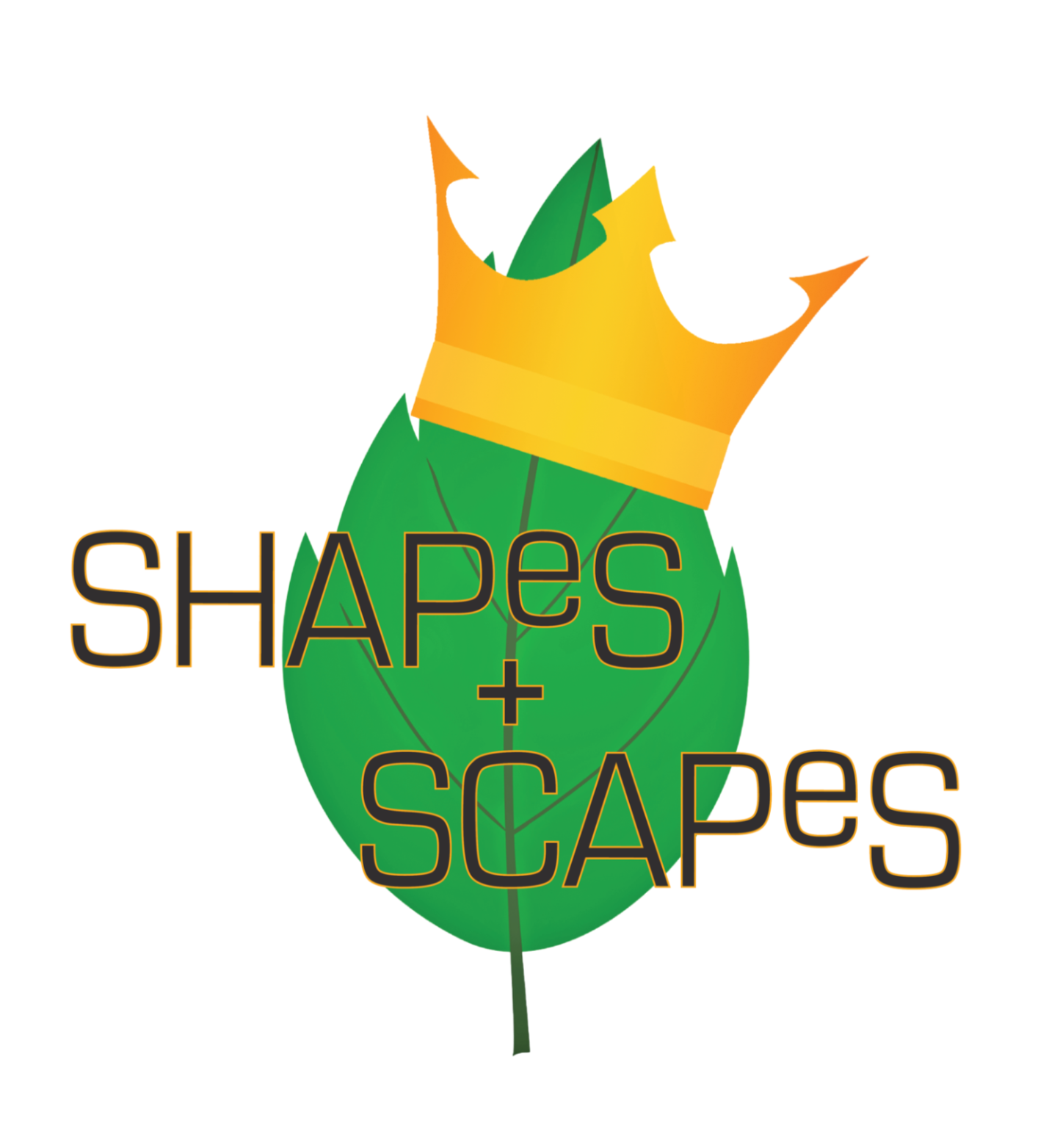 shapes+scapes