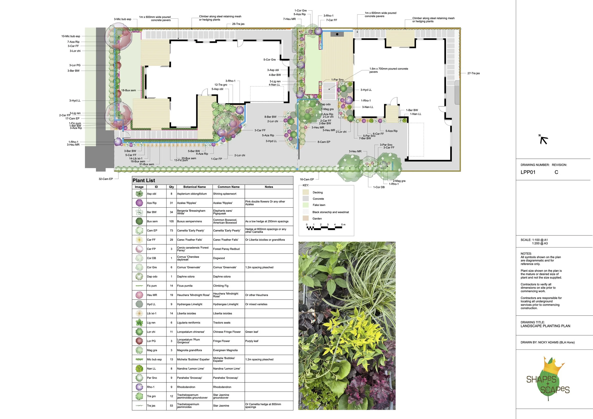 planting plan ex 3.jpg