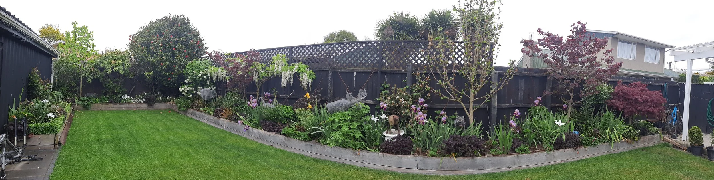 20201026_110717.jpg