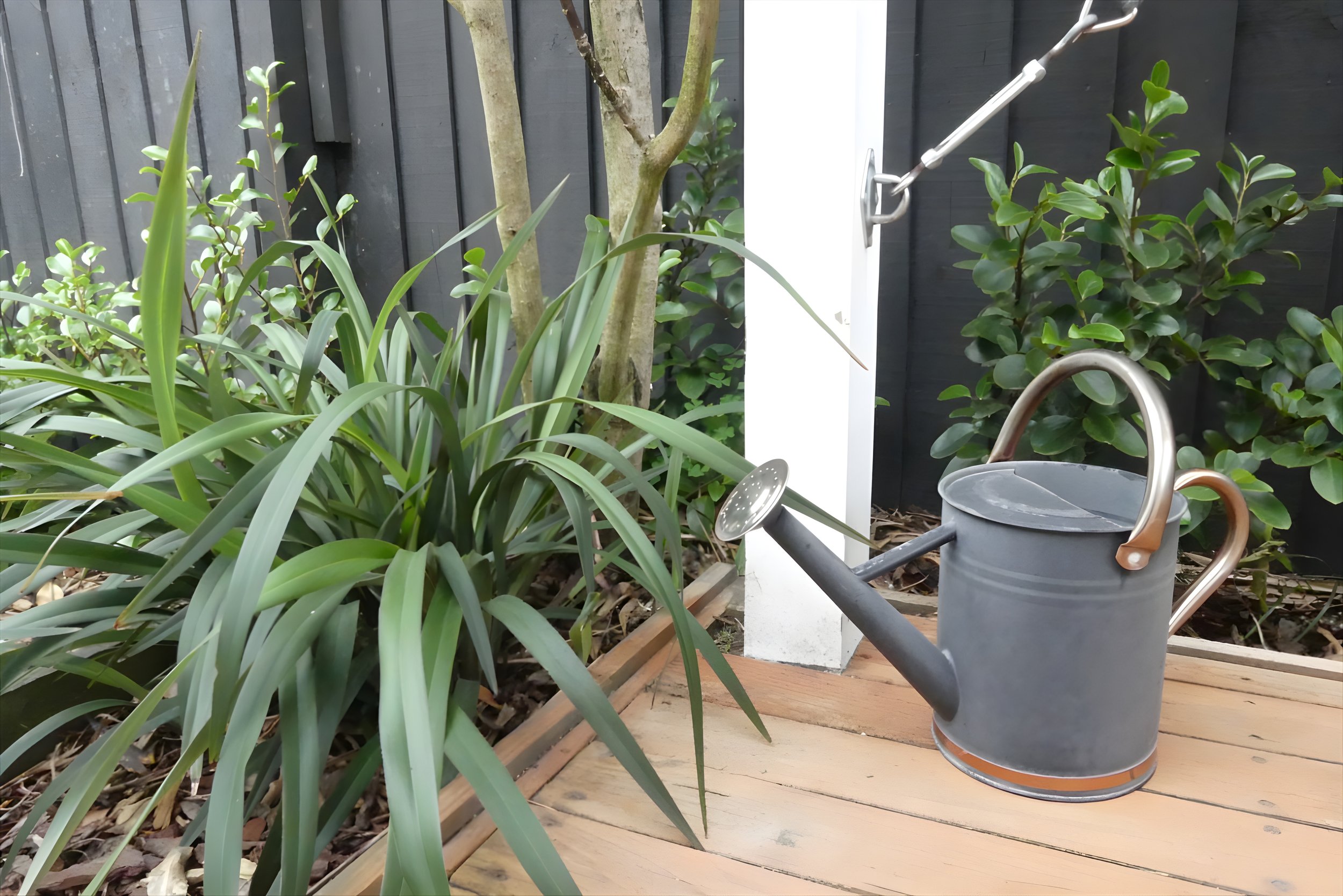 A garden scene with green plants and shrubs, a gray watering can, and a sunlight-lit wooden deck. In the background, there is a black fence and some tree trunks.