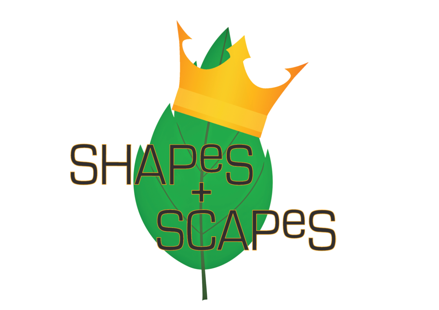 shapes+scapes