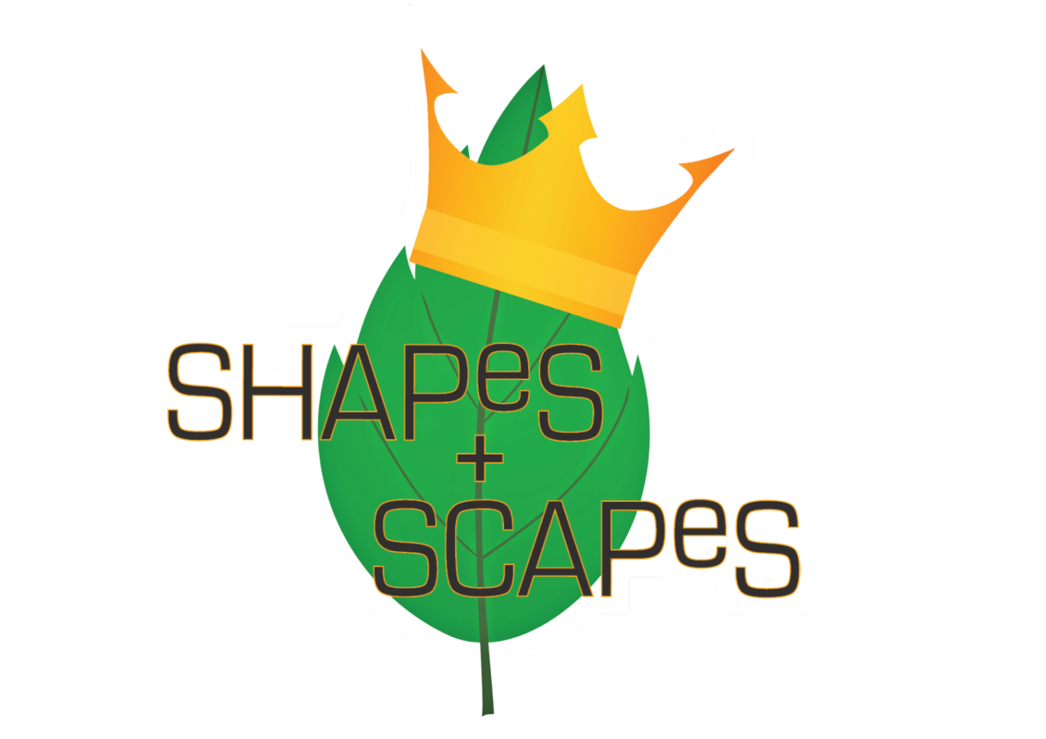 shapes+scapes