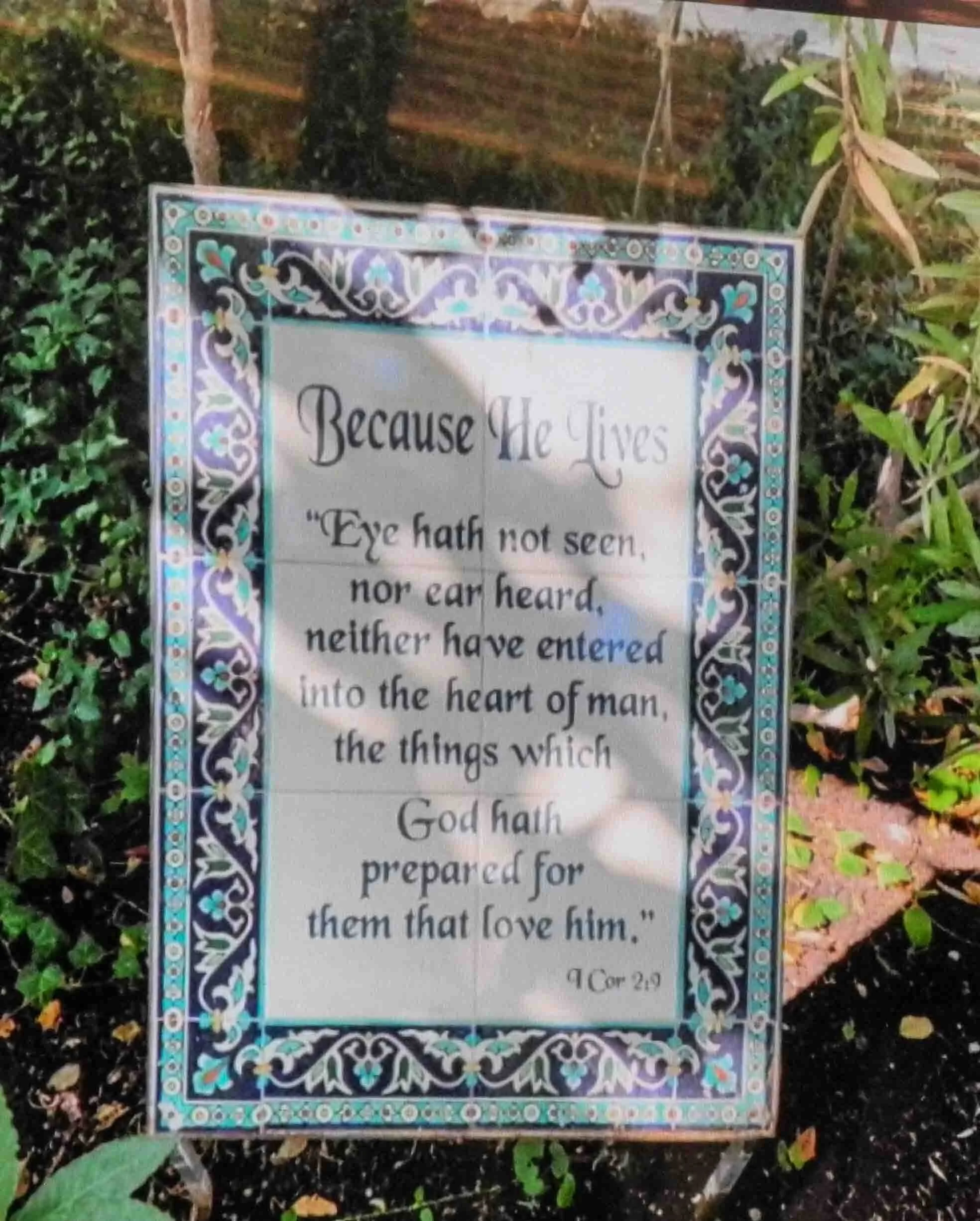 IFG meeting 16 02 20 Shelley Jamieson_0084.jpg