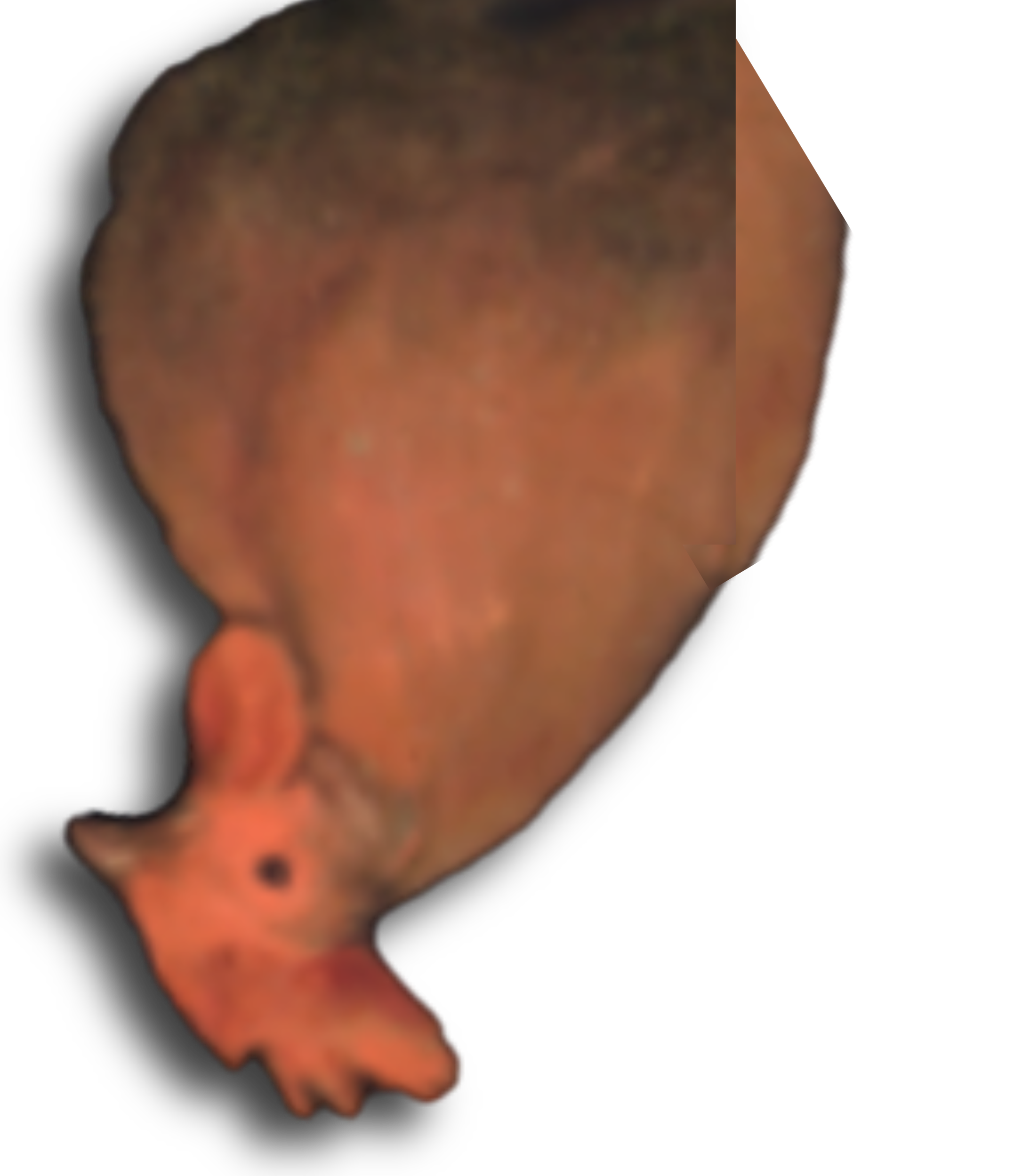 upside down chicken