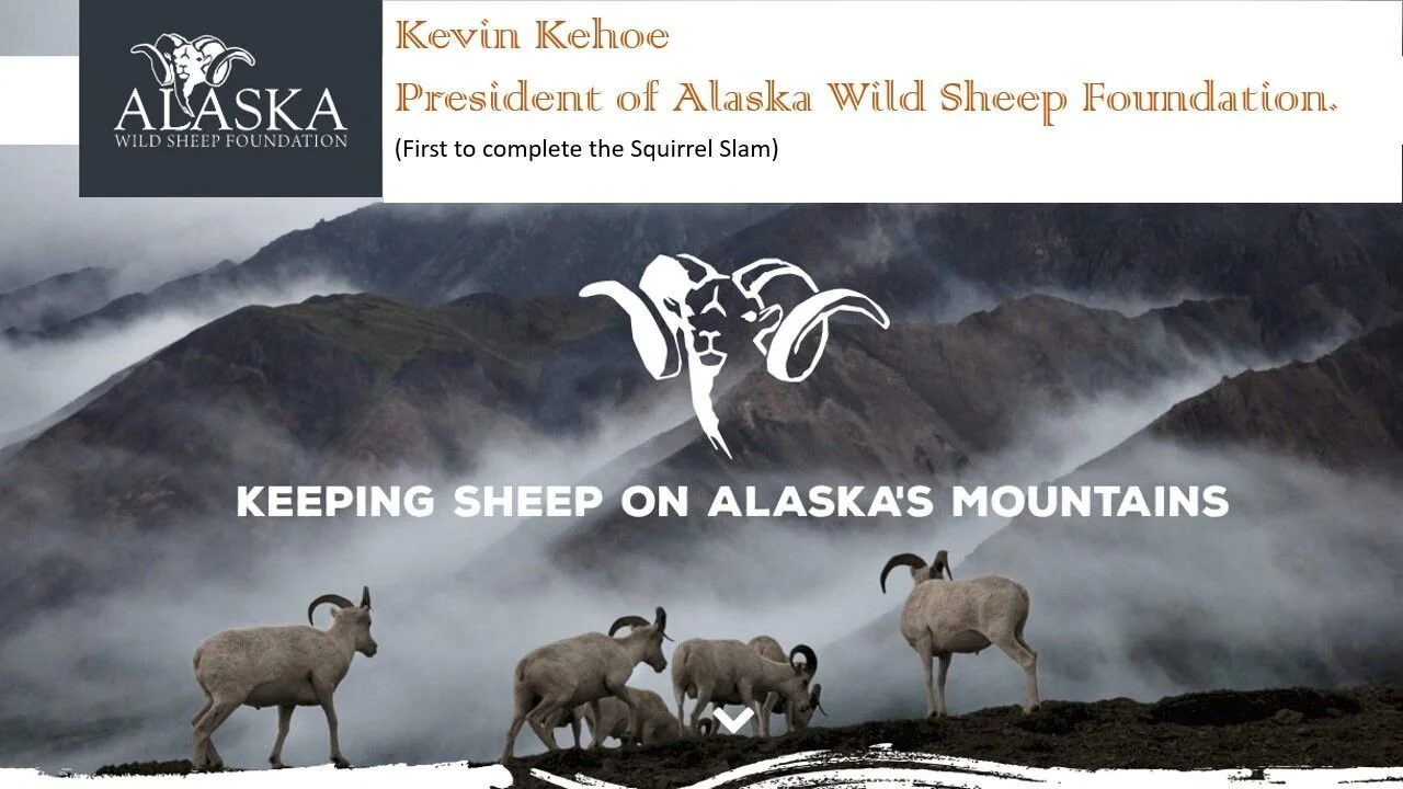 Conservation Through COVID