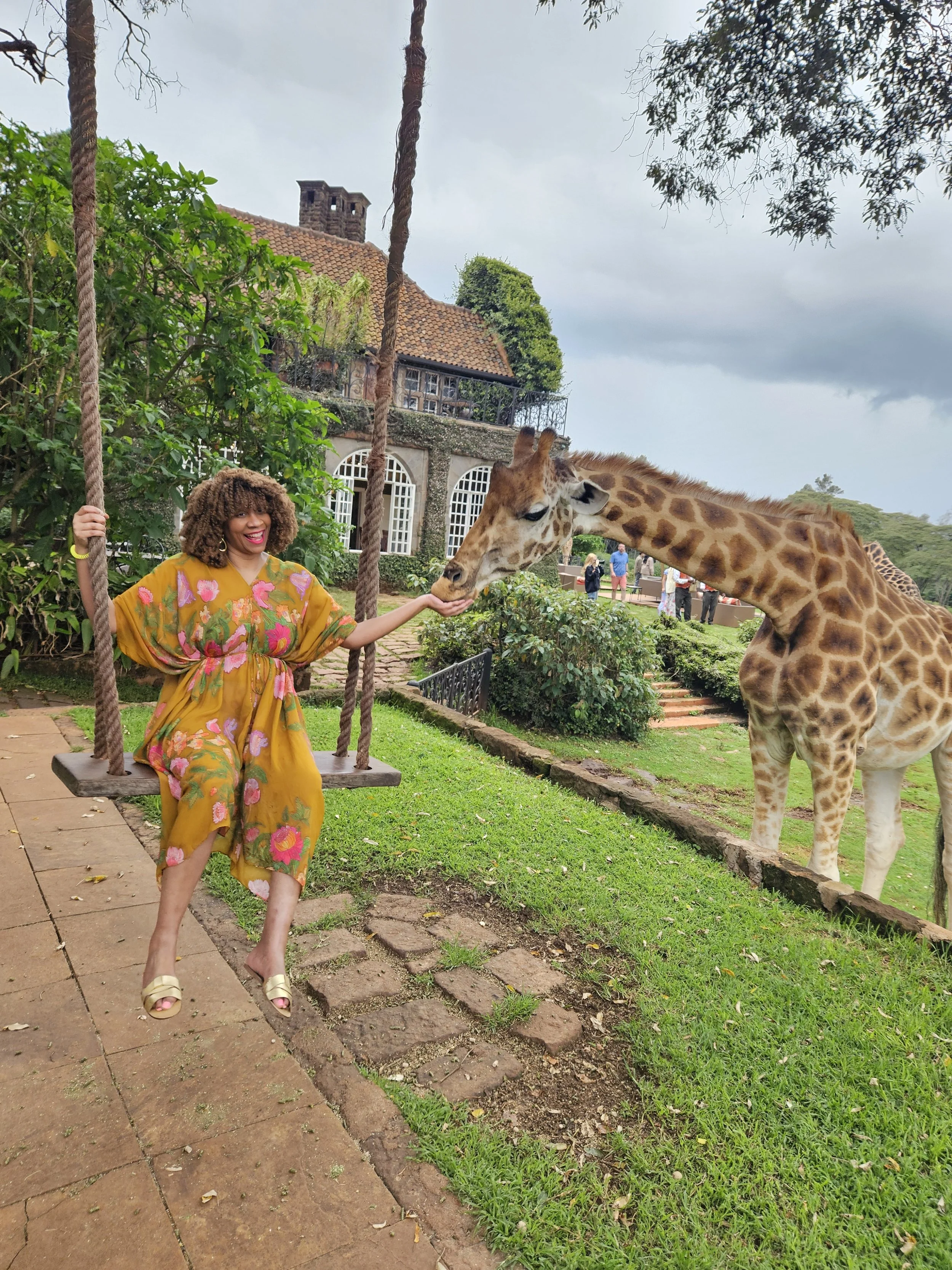 The Moment a Giraffe Looked Me in the Eye and Everything Shifted