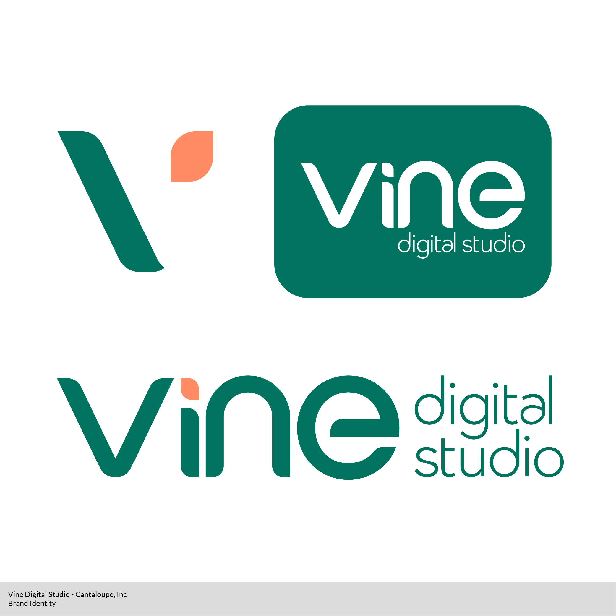 VDS_Brand-Identity.png