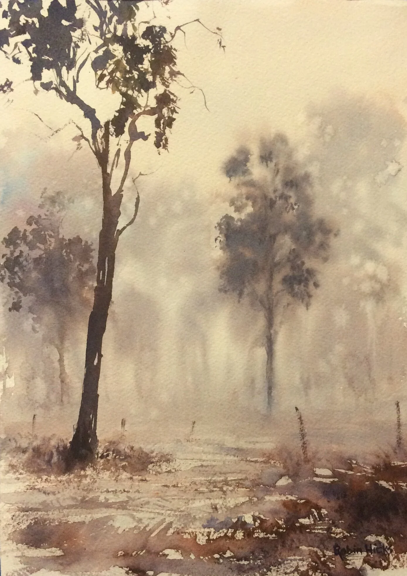 Evening Mist