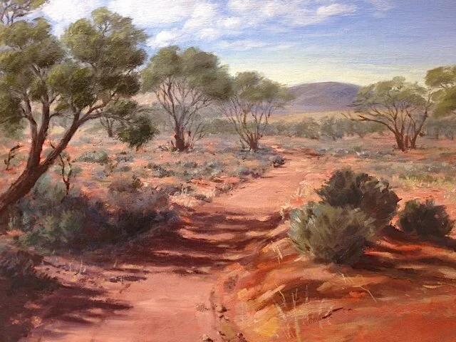 Lake Gairdner Gawler Ranges