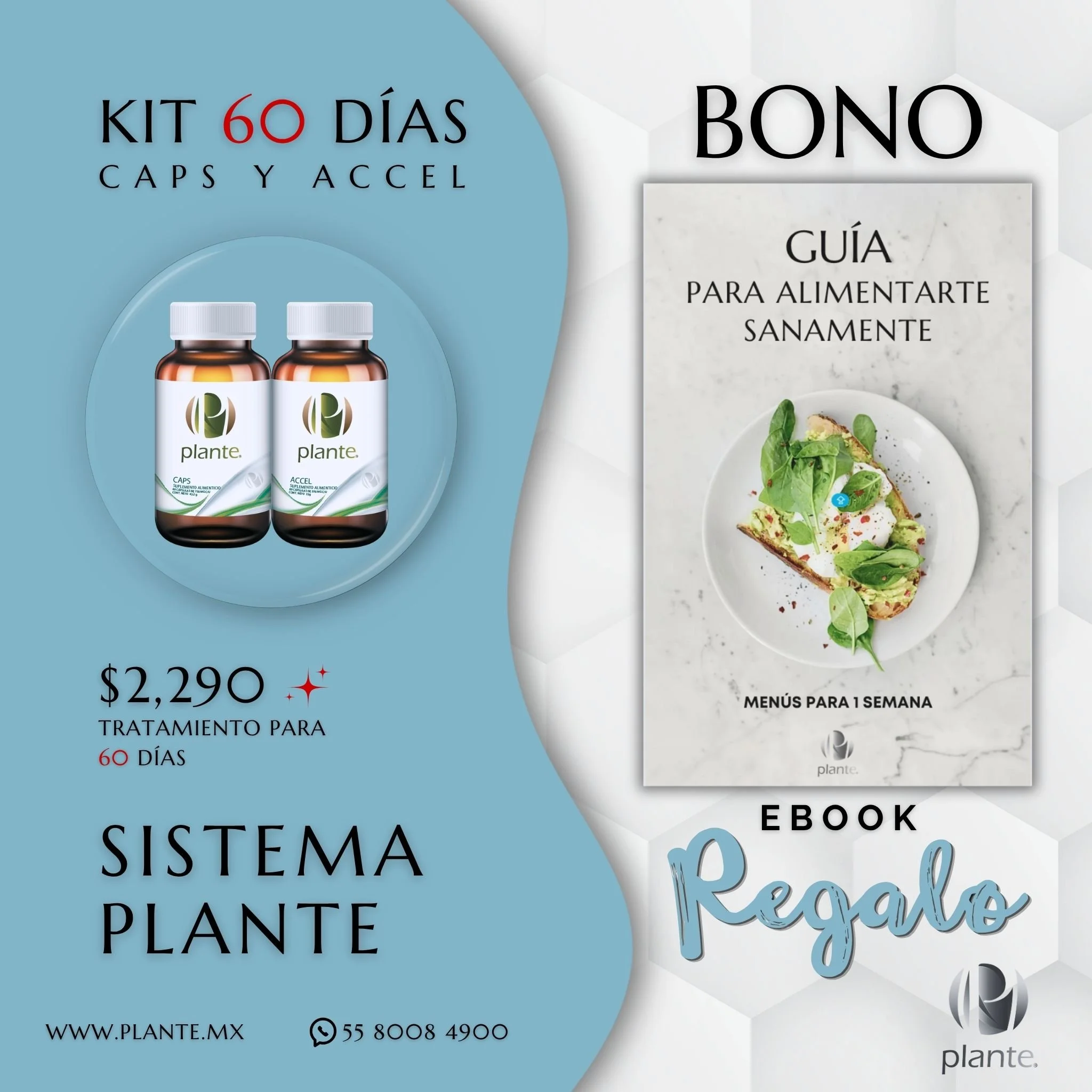 Plante Kit 60 Días Bono Guia Square.jpg
