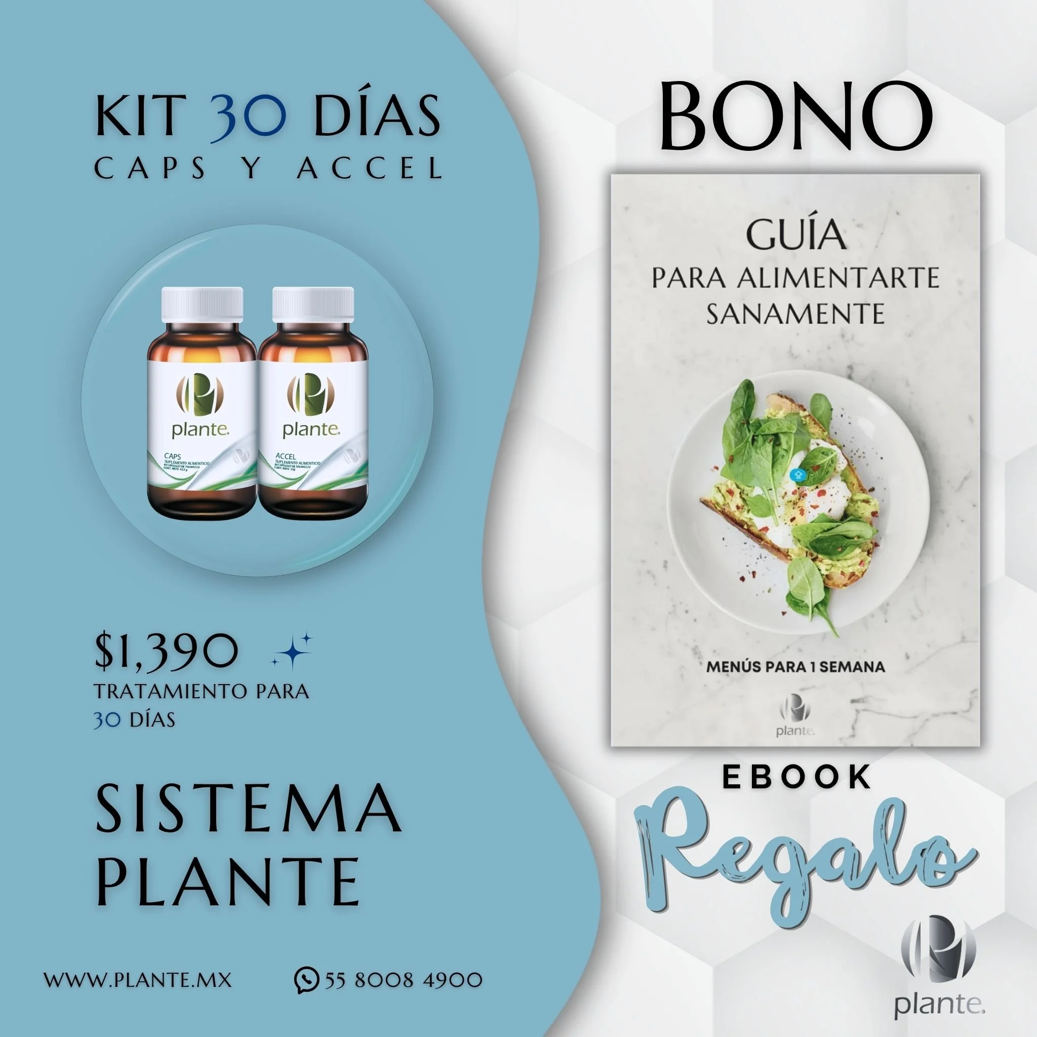 Plante Kit 30 Días Bono Guia Square.jpg