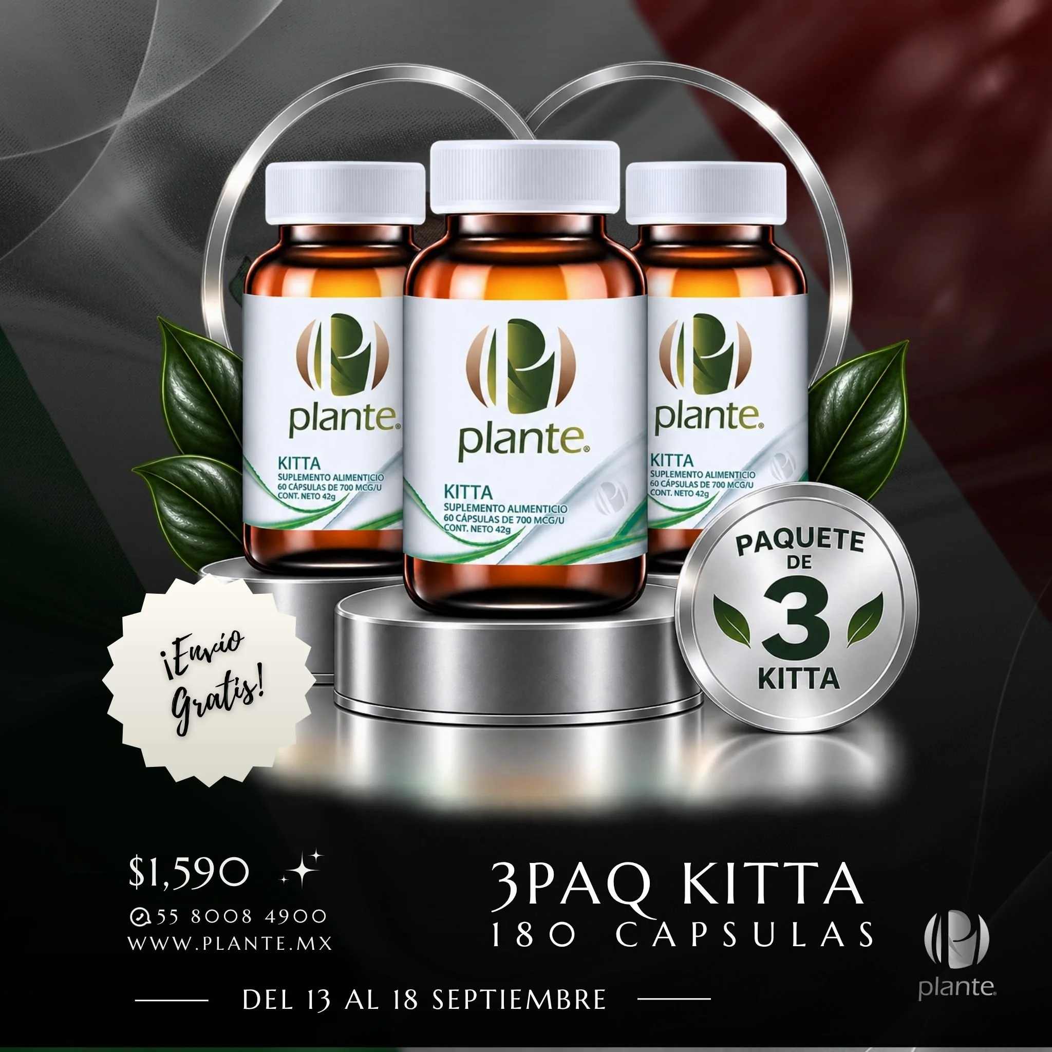 3PAQ Plante Kitta