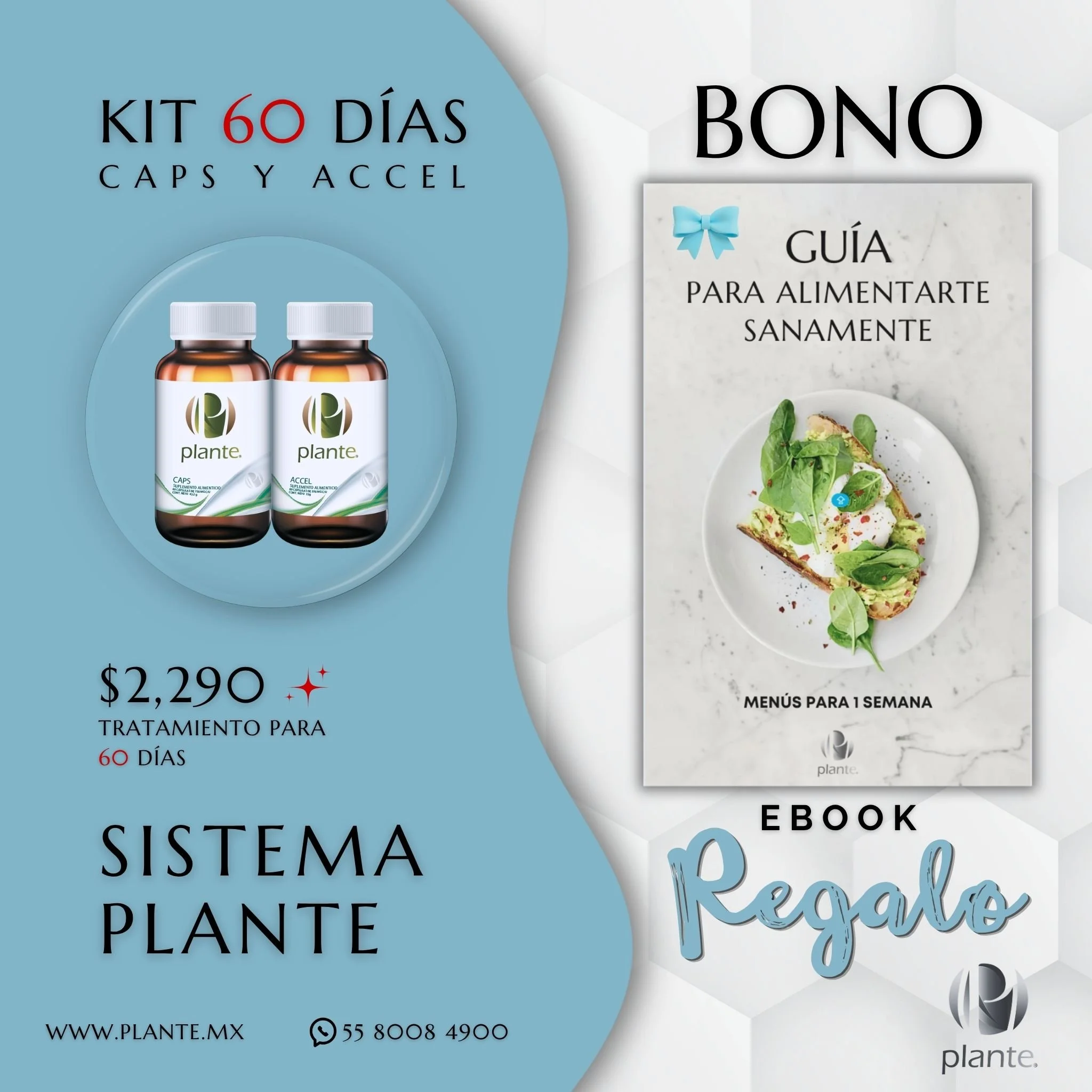 Plante Kit 60 Días Bono Guia Square (1).jpg
