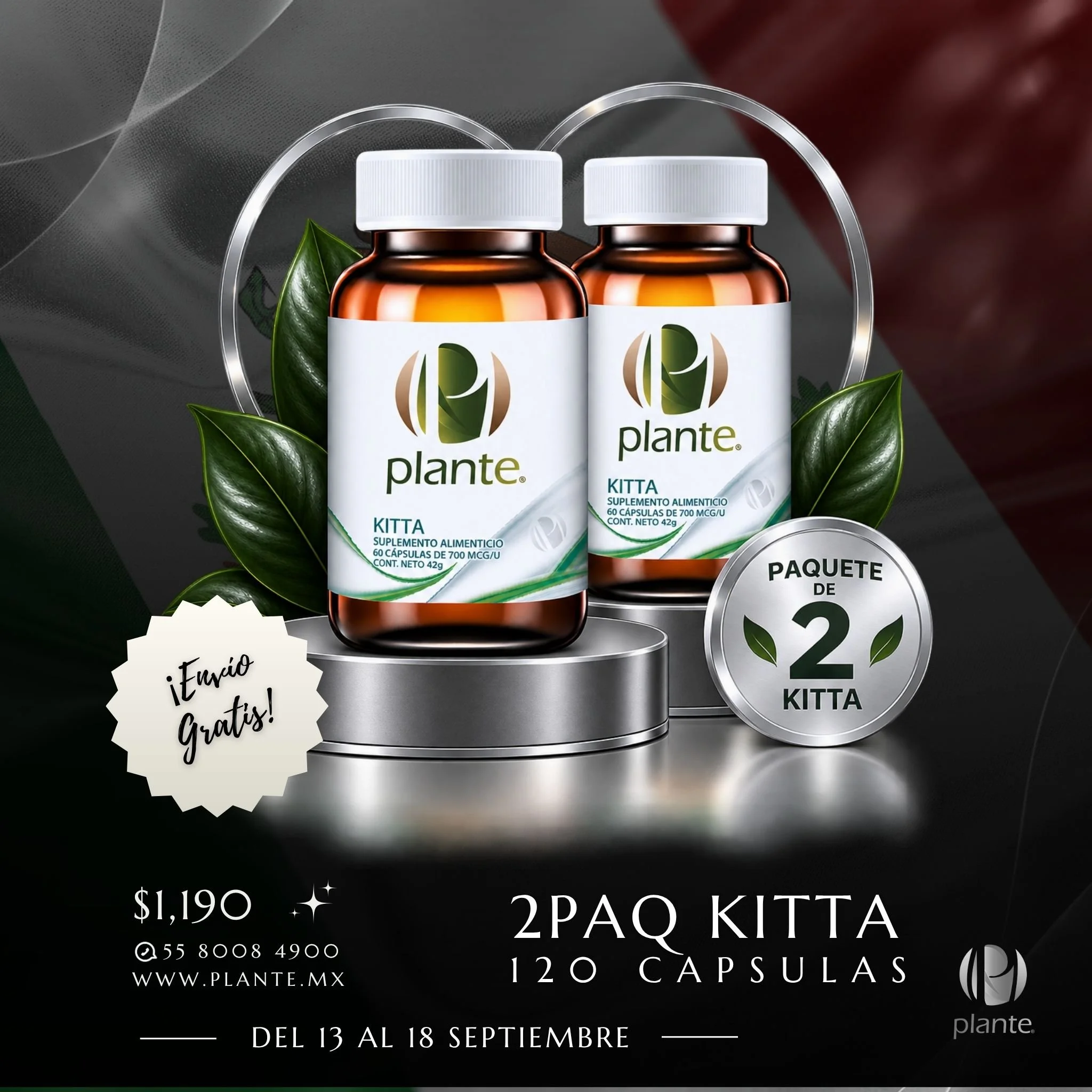 2PAQ Plante Kitta