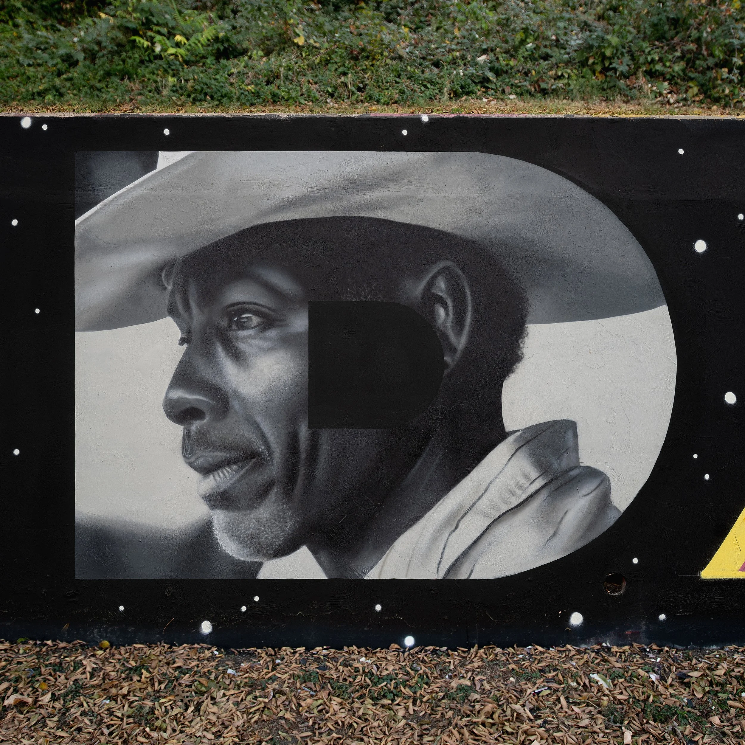 DCowboyBrighter 2.JPG