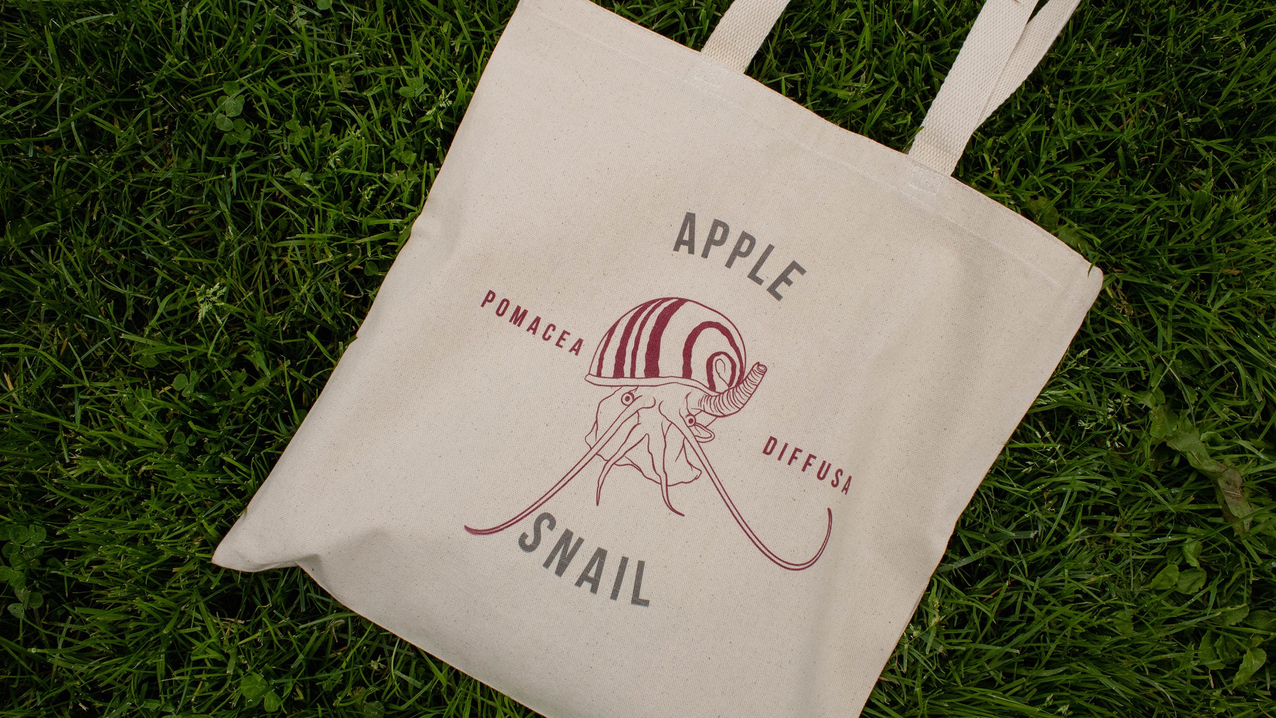 Snail-Tote-Design-Final-3.jpg