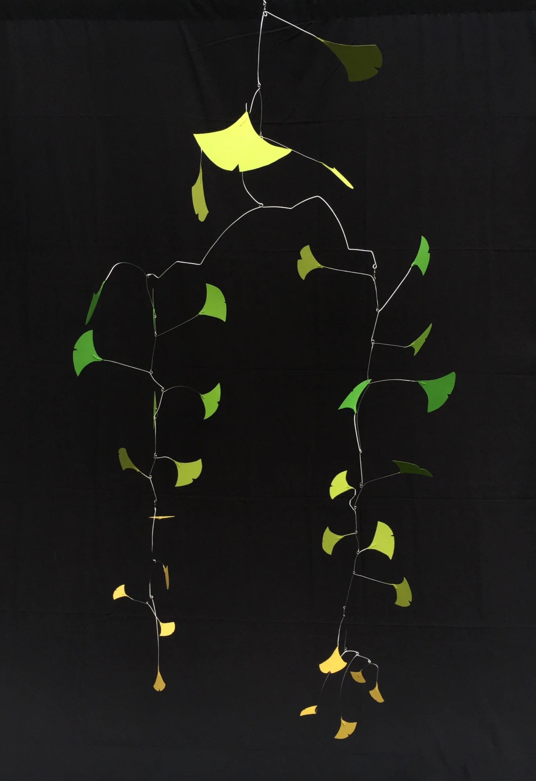 CA926E6A-CF86-4D06-830D-B7EF90E198DF