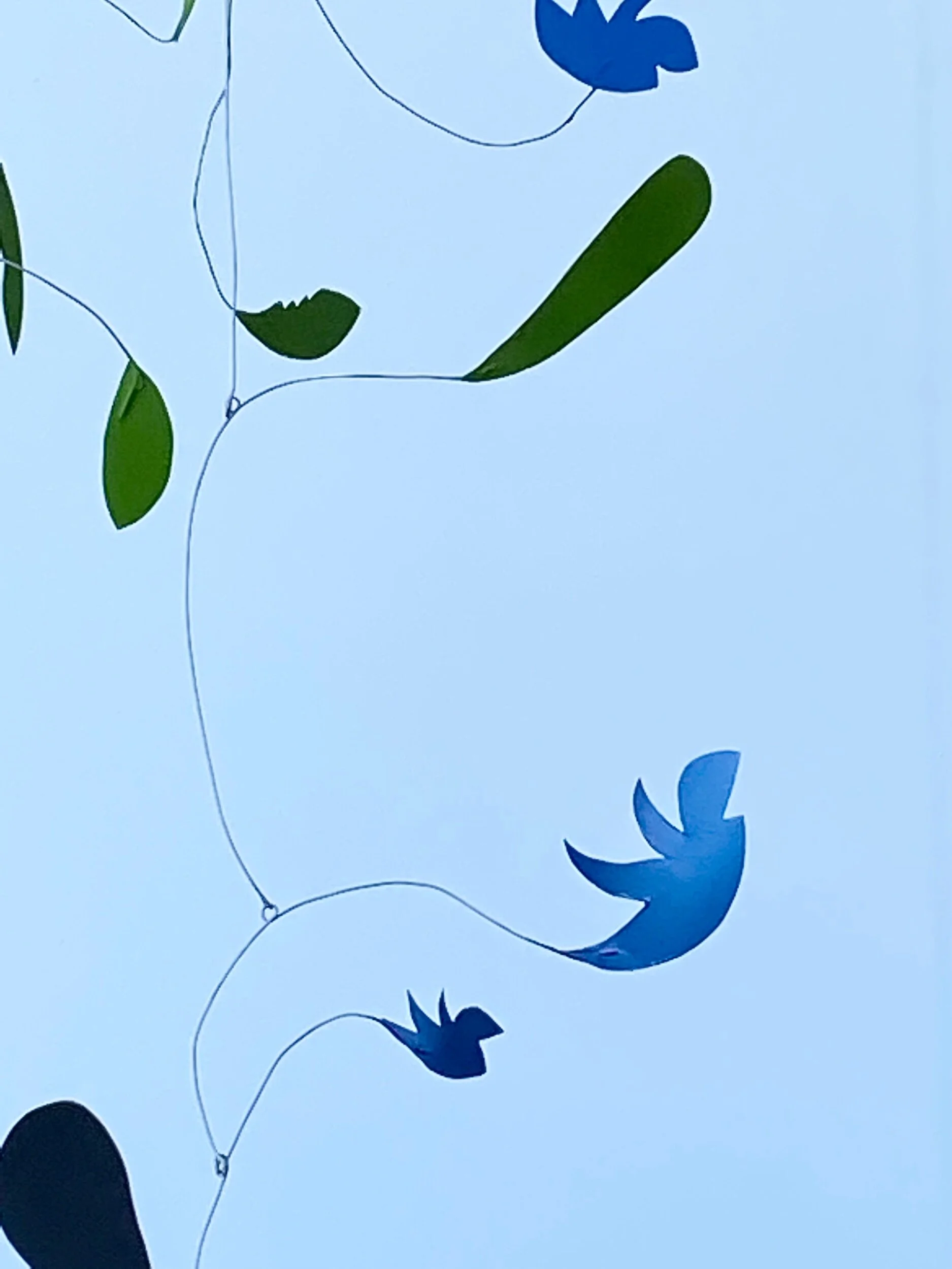 52D37617-309B-4FBA-B168-6747743E04C0