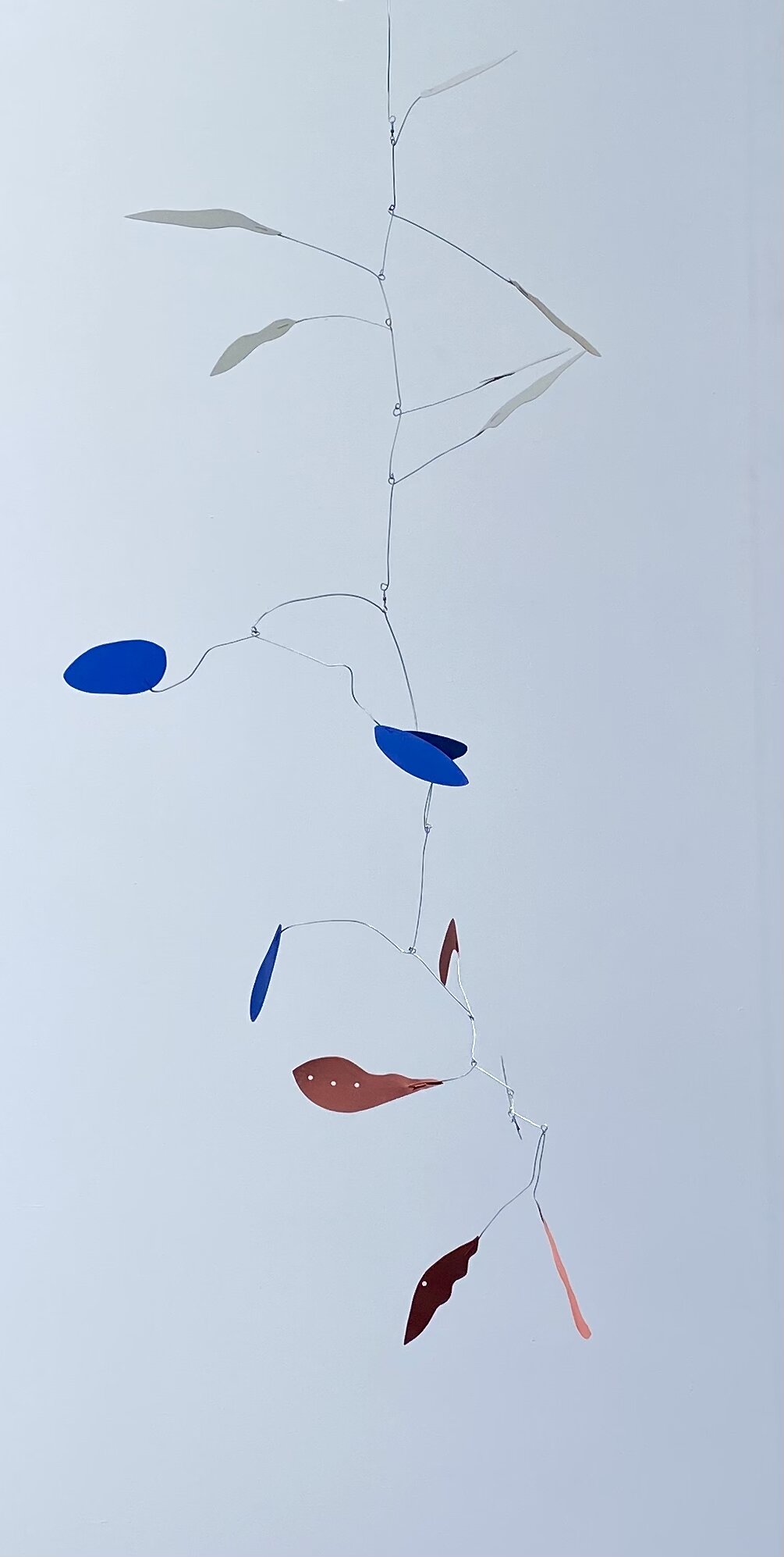 08DD5EFD-7554-4FD2-9500-140755F3C8D7