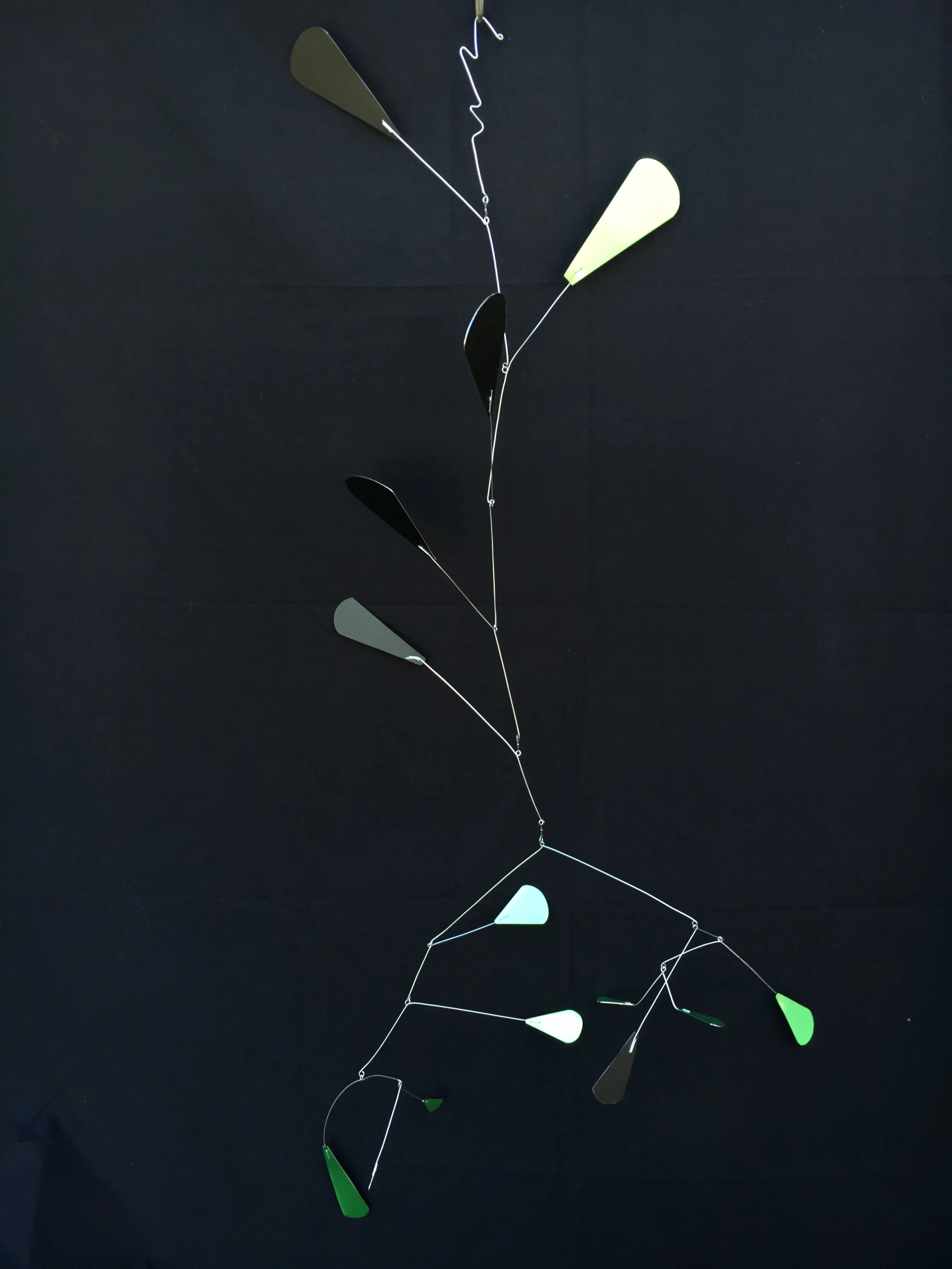 The Wonders of Autumn: Leaves, Clucktown Collective at The Happy Dahlia Farm, GIANTS BASEBALL!